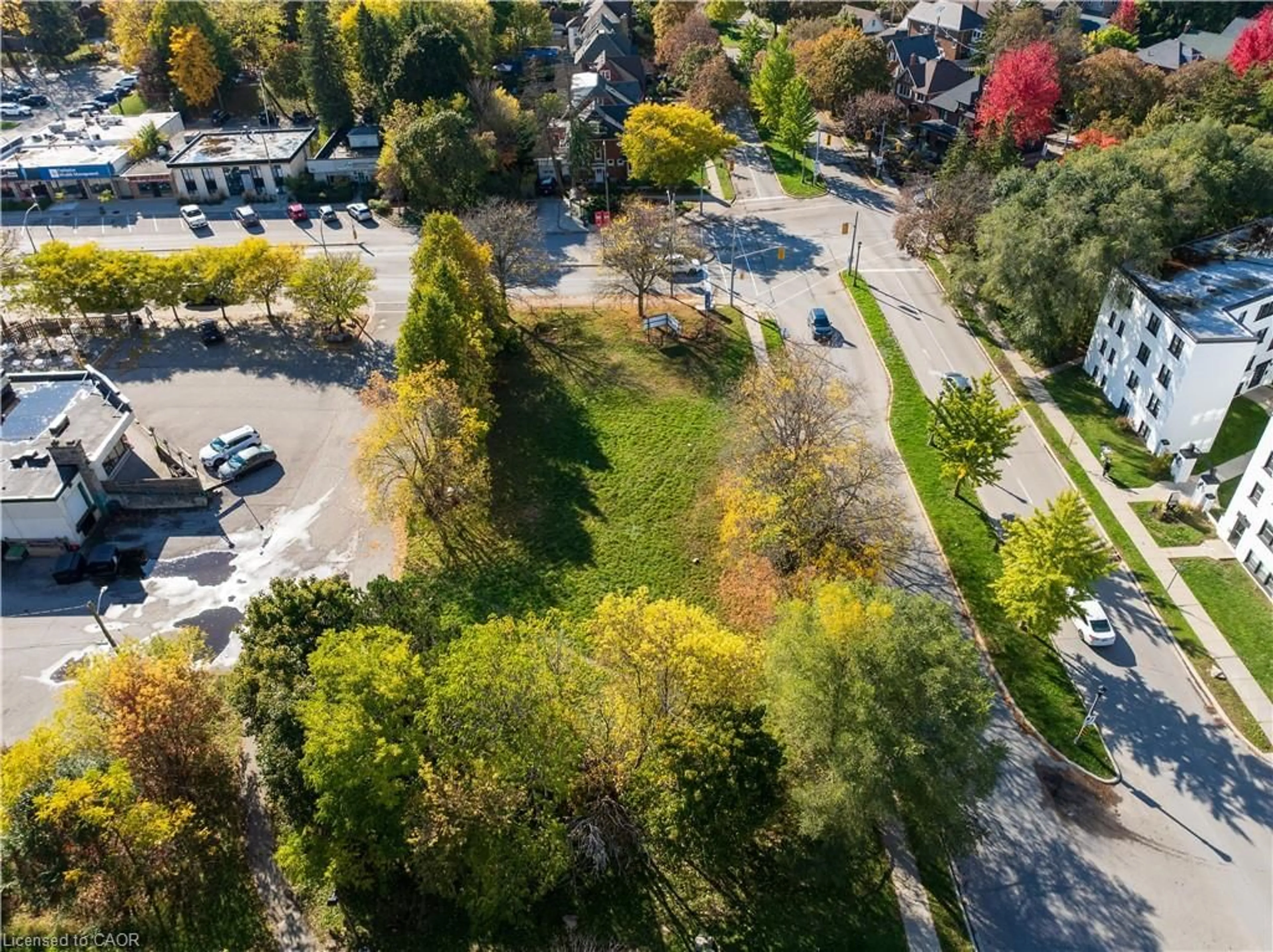 A pic from outside/outdoor area/front of a property/back of a property/a pic from drone, street for 115 Union Blvd, Kitchener Ontario N2M 2S1