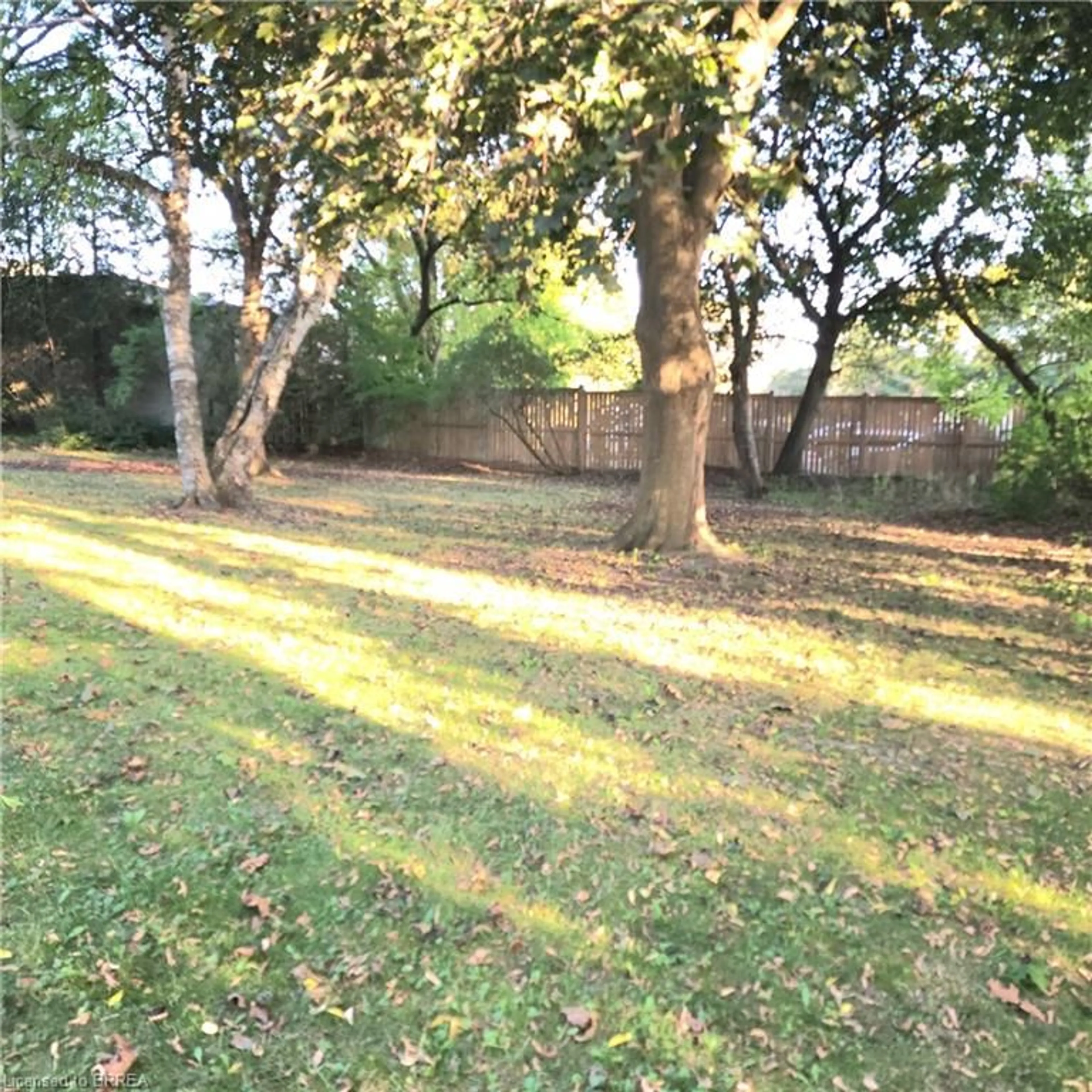 A pic from outside/outdoor area/front of a property/back of a property/a pic from drone, forest/trees view for 33 Islington Ave, Guelph Ontario N1E 1B2