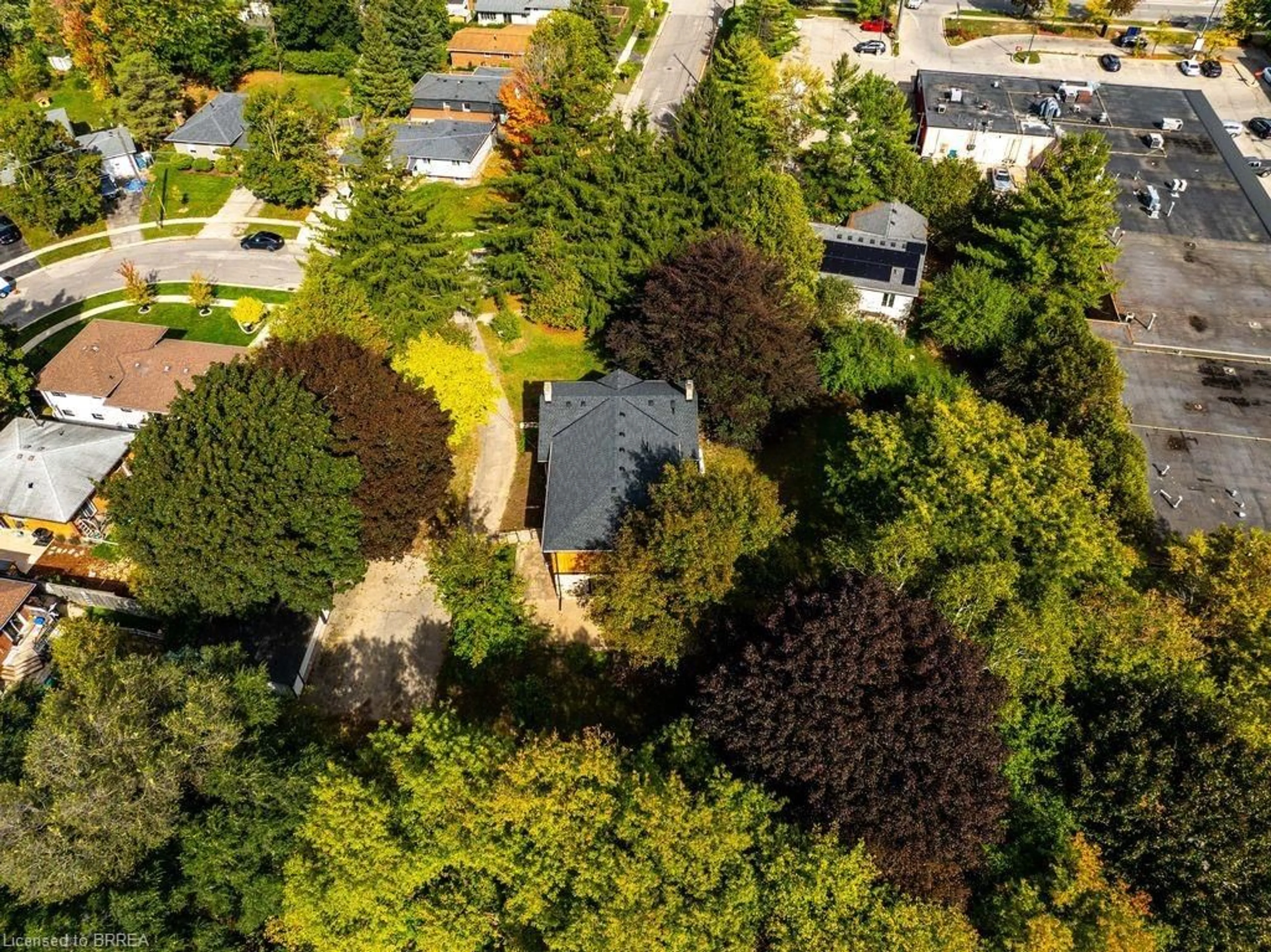 A pic from outside/outdoor area/front of a property/back of a property/a pic from drone, forest/trees view for 33 Islington Ave, Guelph Ontario N1E 1B2