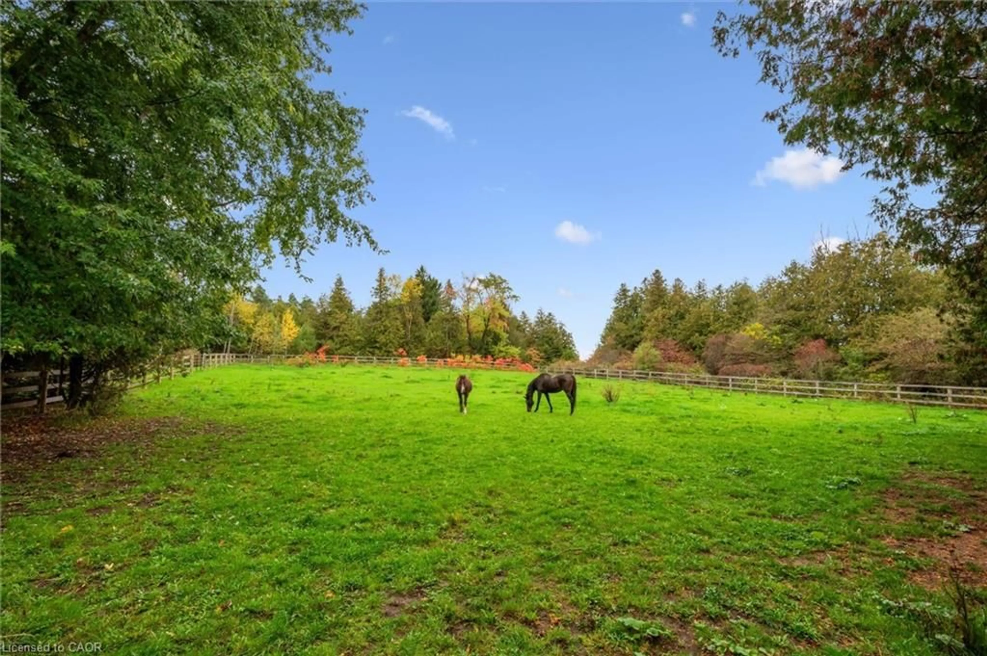 A pic from outside/outdoor area/front of a property/back of a property/a pic from drone, forest/trees view for 7907 Sixteenth Line, Arthur Ontario N0G 1A0