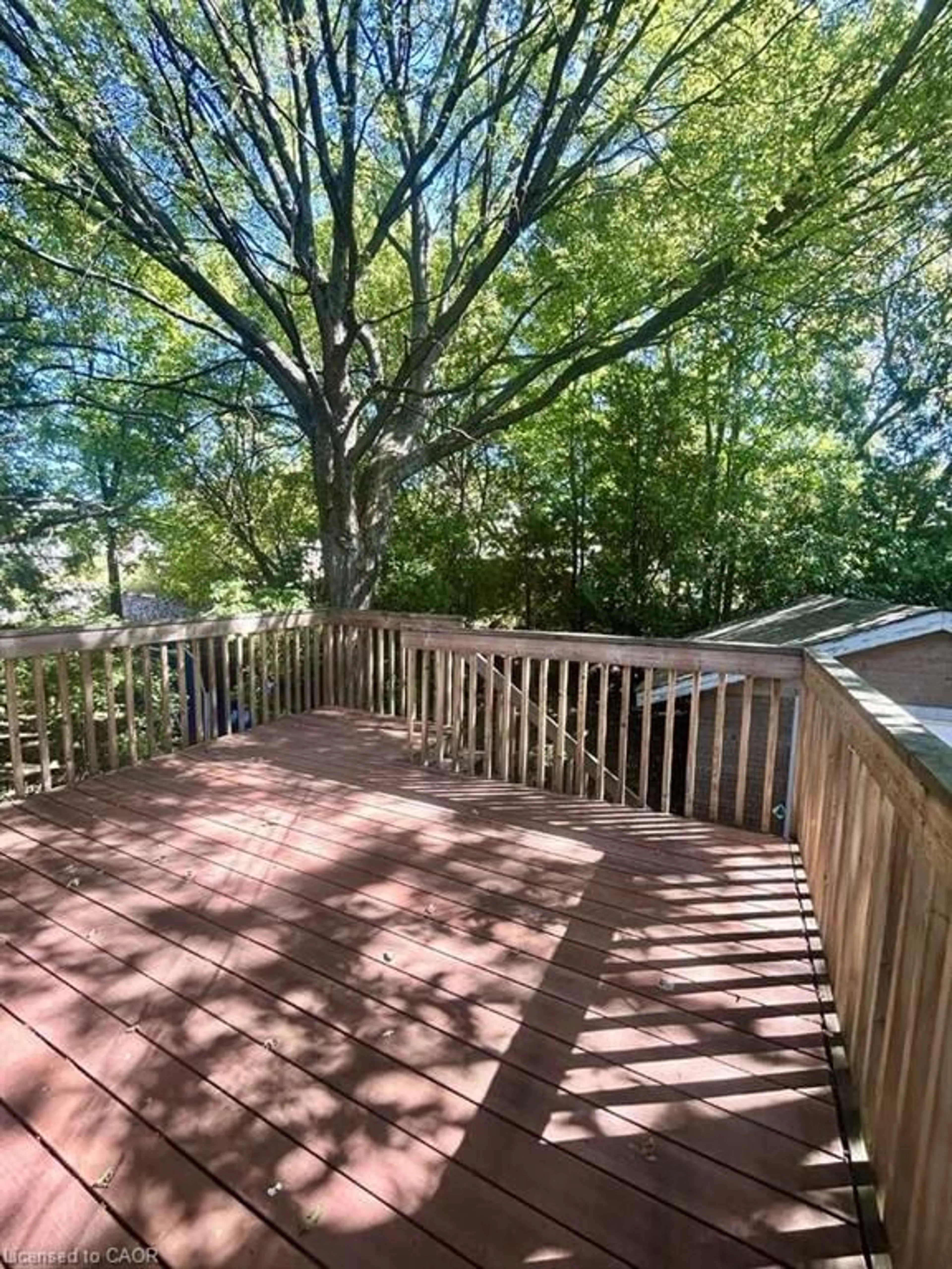 Patio, forest/trees view for 740 Charlotte St, Sudbury Ontario P3E 4C3