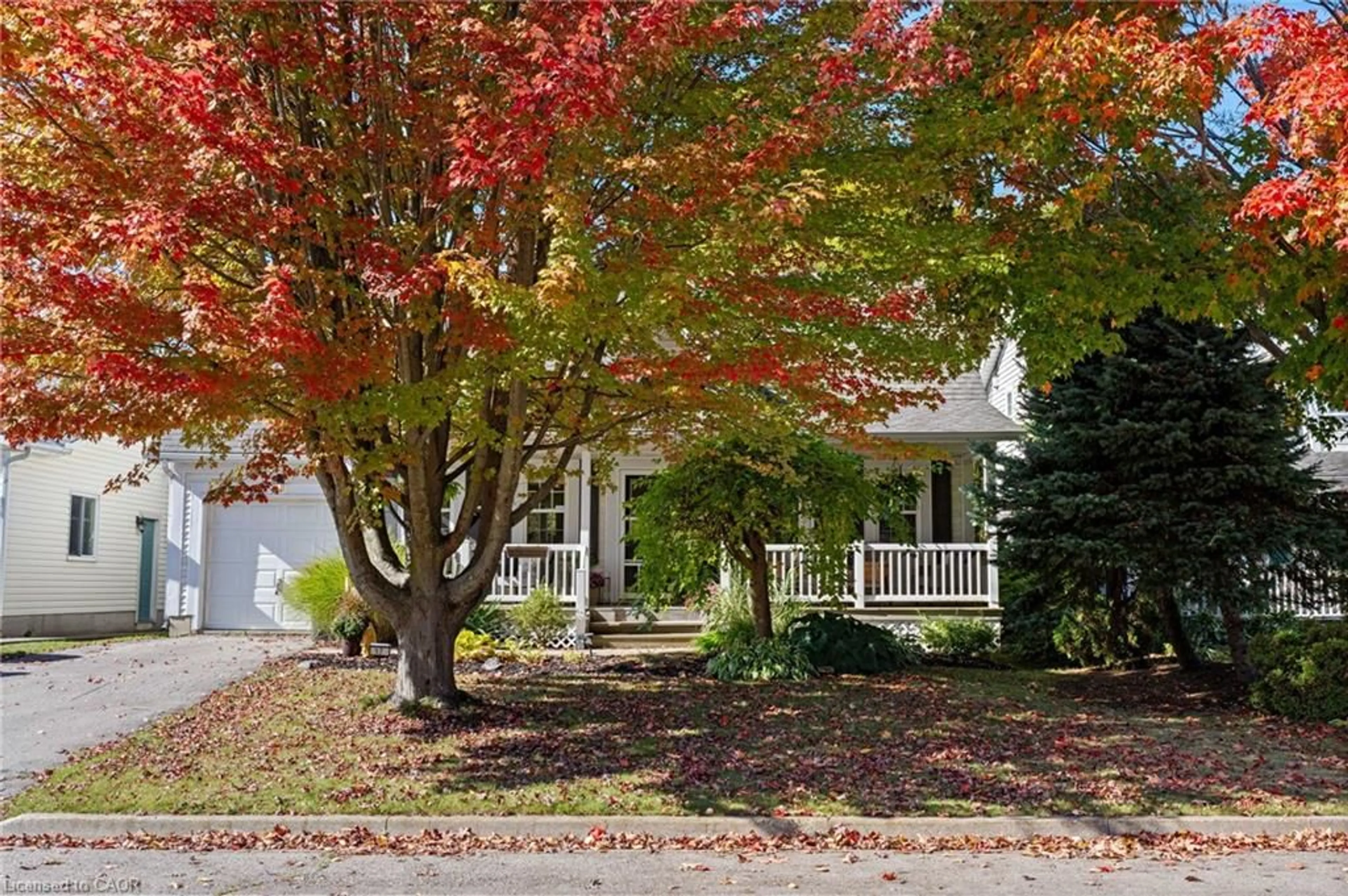 Home with vinyl exterior material, street for 17 Denby Rd, Port Dover Ontario N0A 1N4