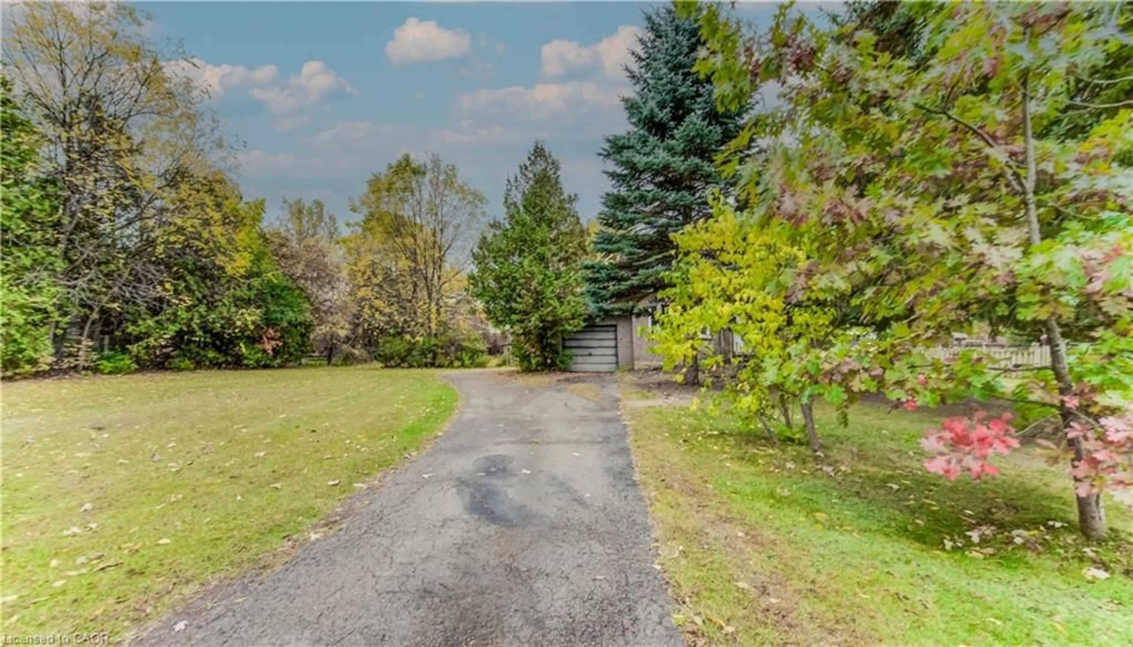 A pic from outside/outdoor area/front of a property/back of a property/a pic from drone, forest/trees view for 341 Clyde Rd, Cambridge Ontario N1R 1L4