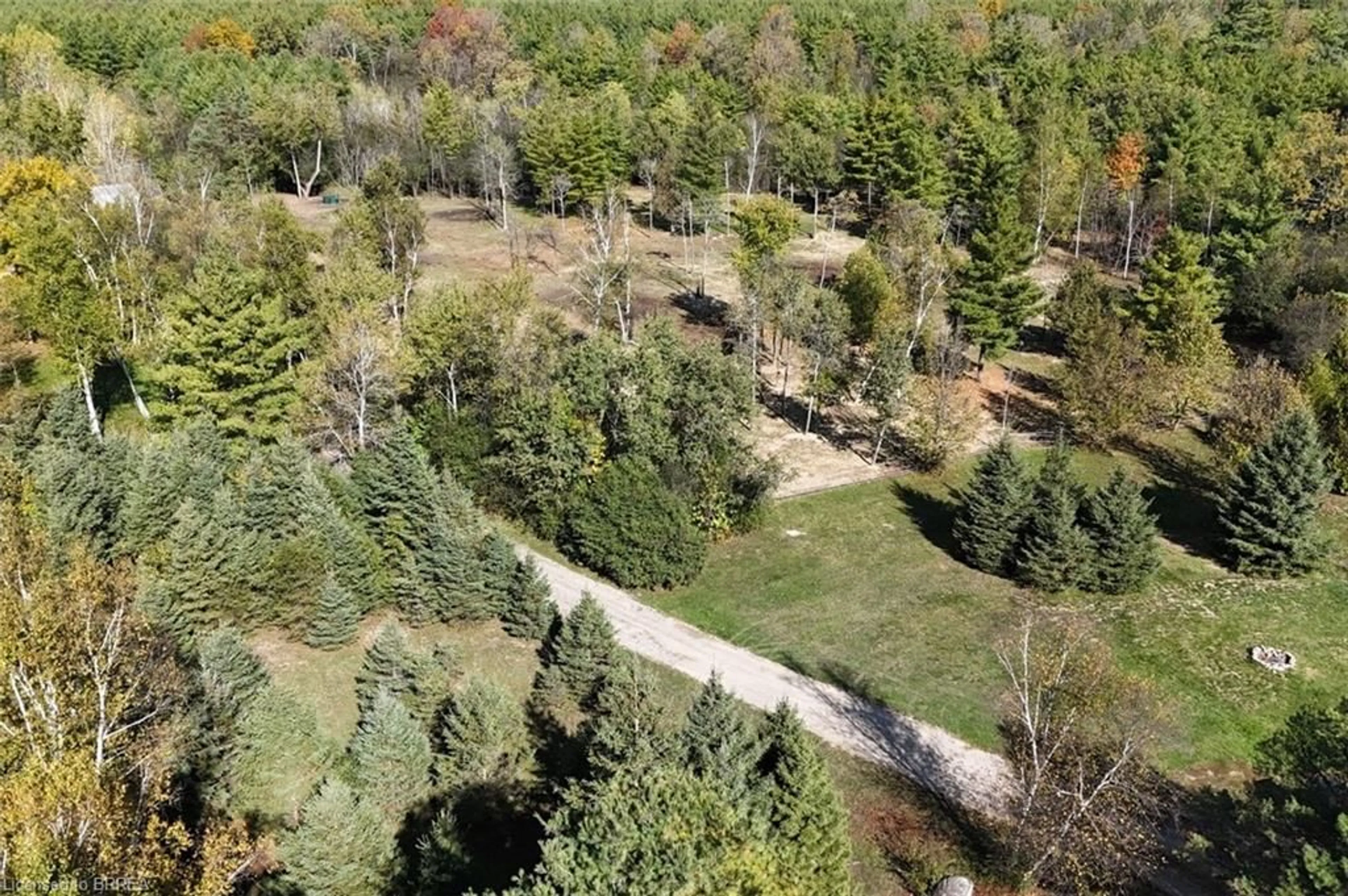 A pic from outside/outdoor area/front of a property/back of a property/a pic from drone, forest/trees view for 999 5 Conc, Flamborough Ontario L9H 5E2