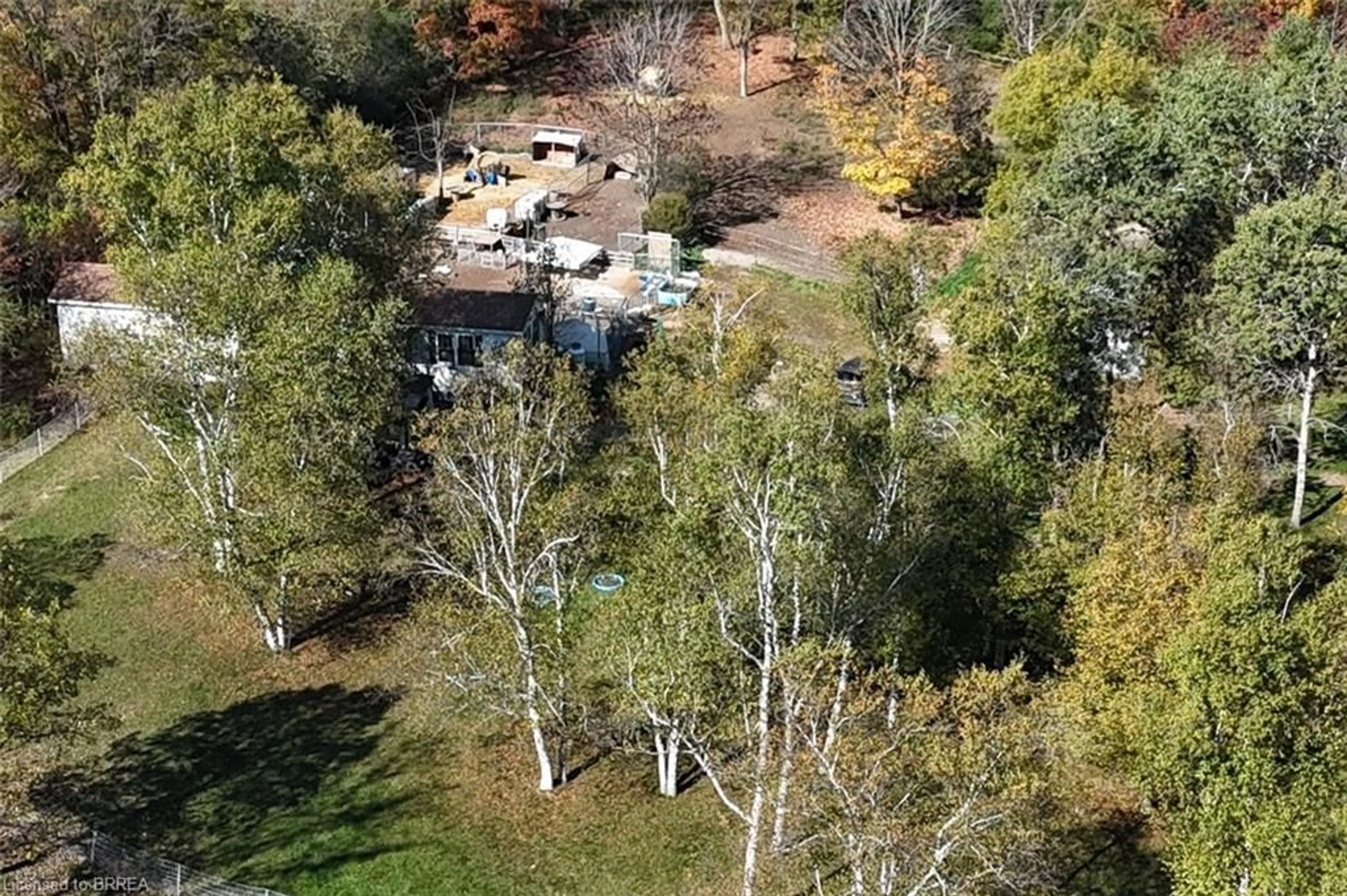 A pic from outside/outdoor area/front of a property/back of a property/a pic from drone, forest/trees view for 999 5 Conc, Flamborough Ontario L9H 5E2