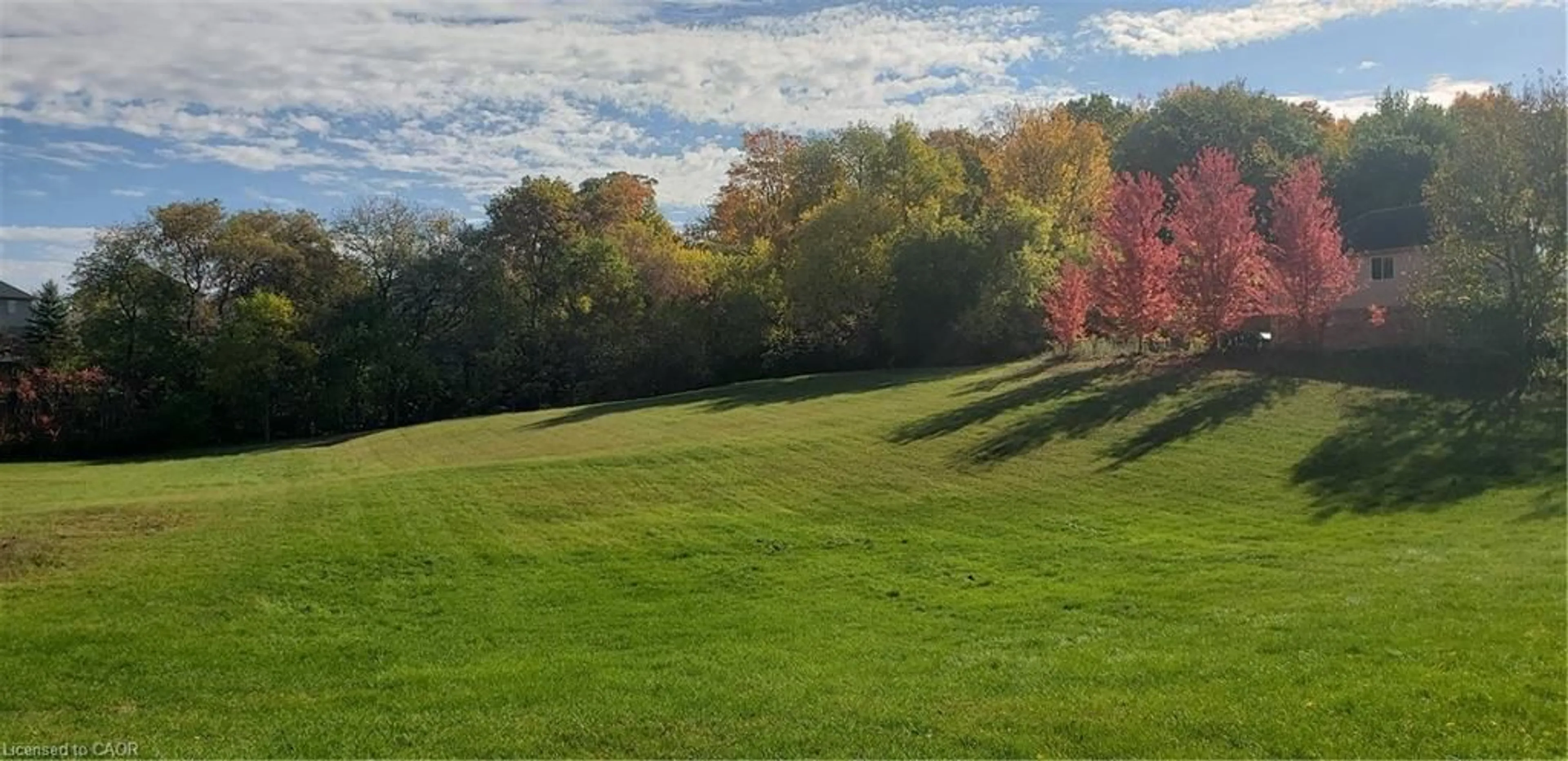 A pic from outside/outdoor area/front of a property/back of a property/a pic from drone, forest/trees view for 404 River Rd, Cambridge Ontario N3C 2B7