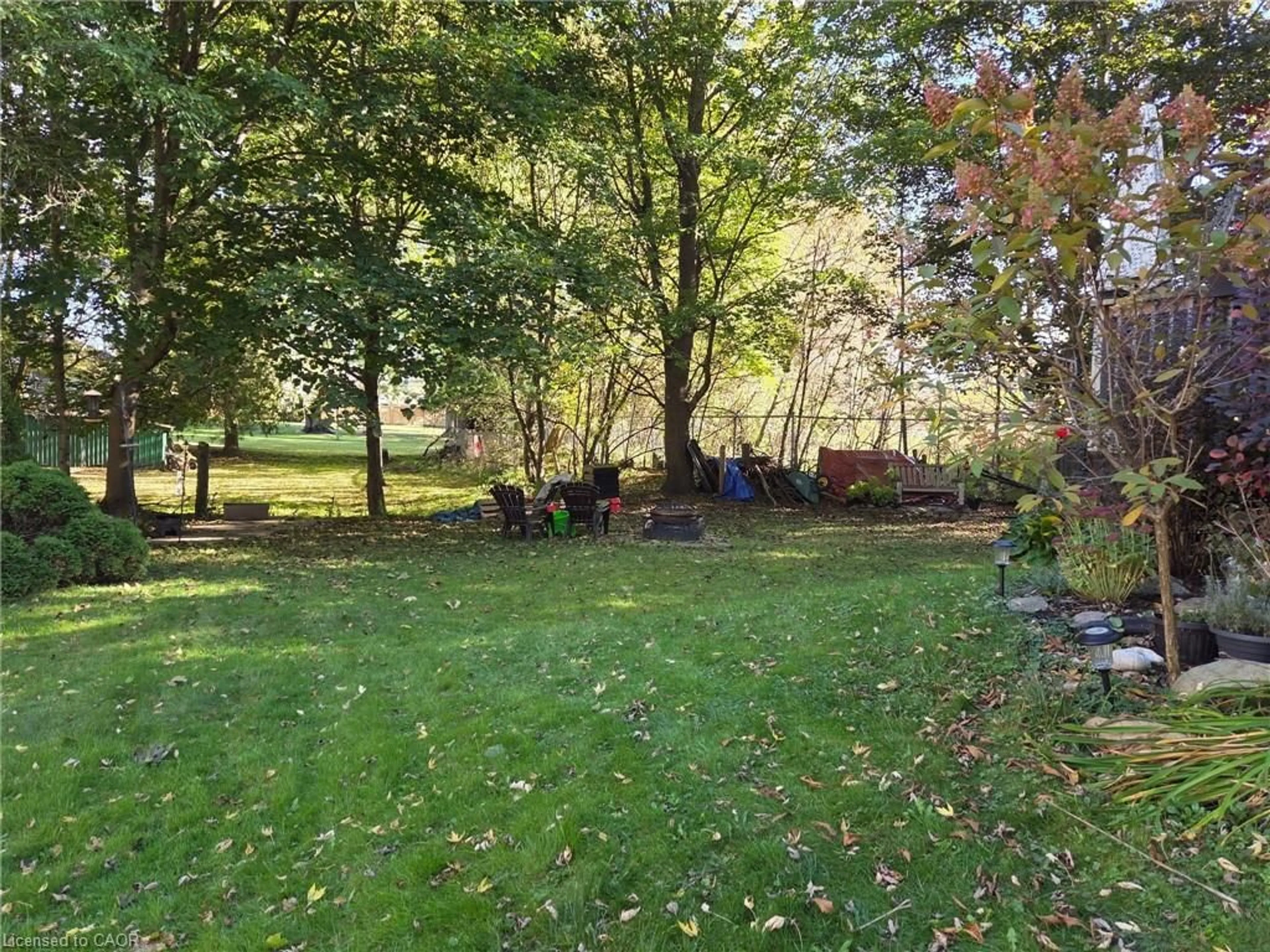 A pic from outside/outdoor area/front of a property/back of a property/a pic from drone, forest/trees view for 166 Birmingham St, Mount Forest Ontario N0G 2L2