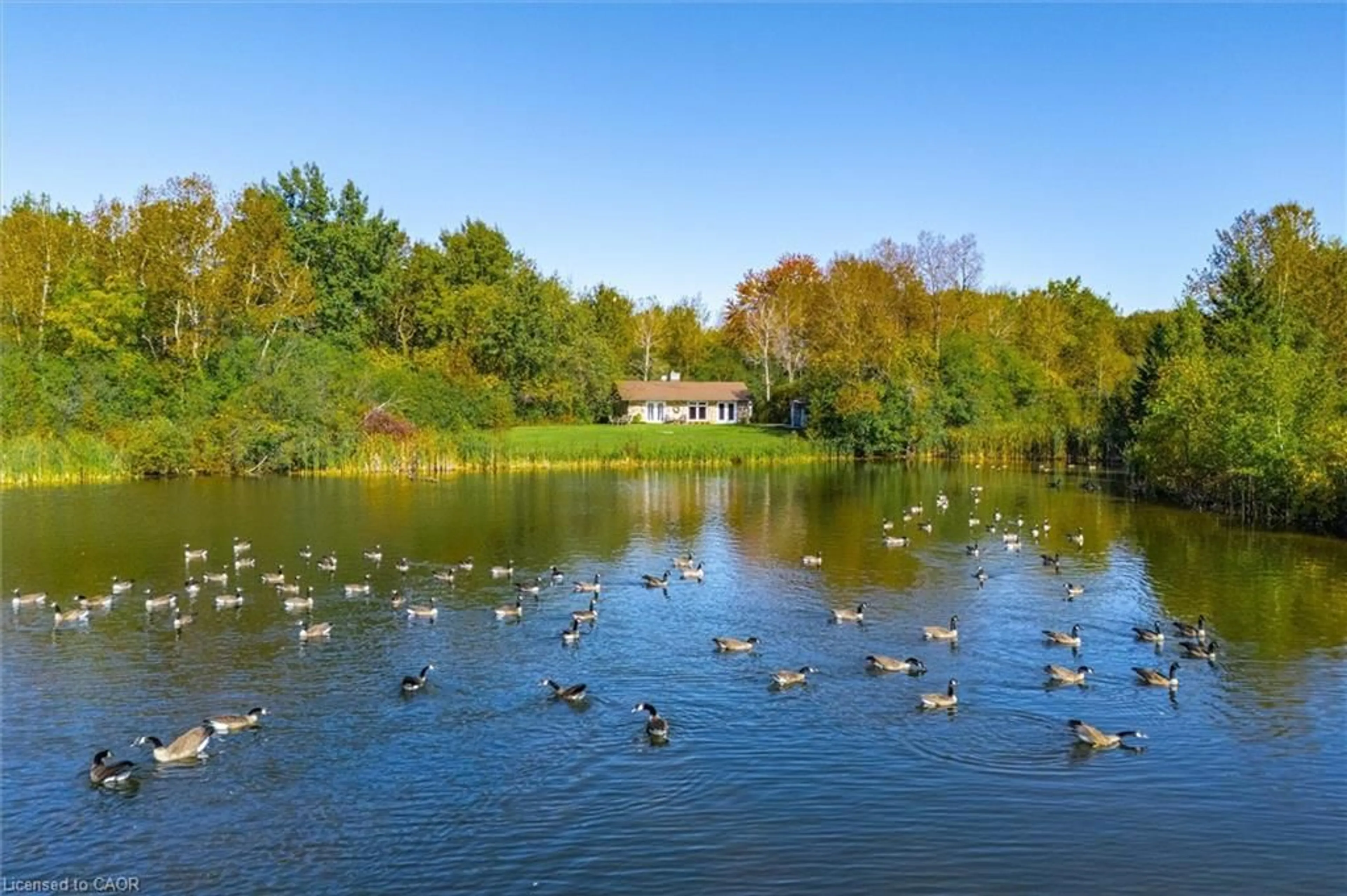 A pic from outside/outdoor area/front of a property/back of a property/a pic from drone, water/lake/river/ocean view for 568 Black St, Fergus Ontario N1M 0A3