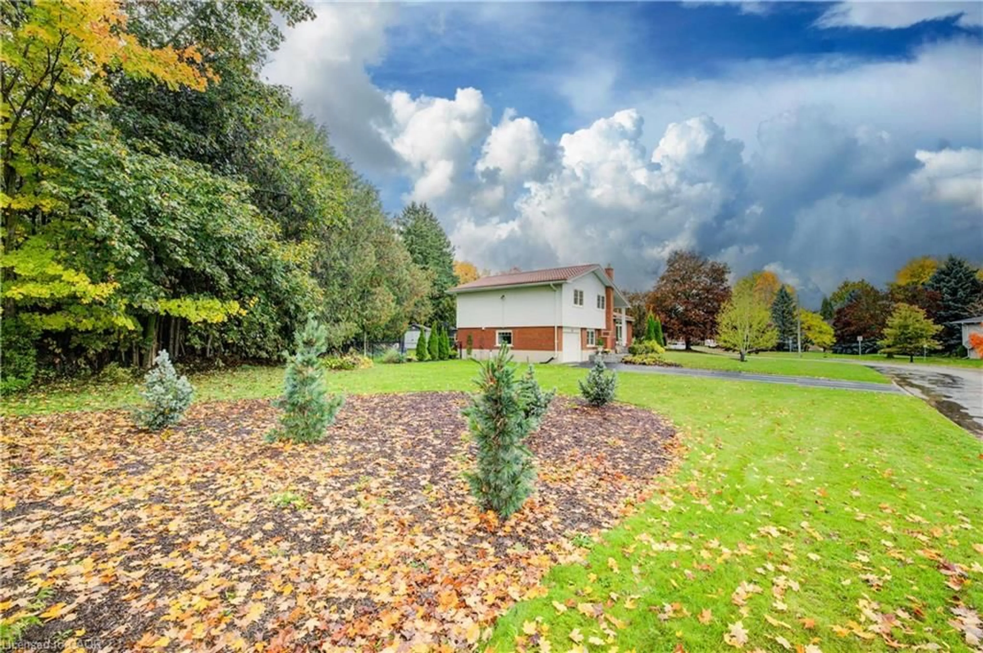A pic from outside/outdoor area/front of a property/back of a property/a pic from drone, forest/trees view for 4 Mcdonald St, Listowel Ontario N4W 1K4