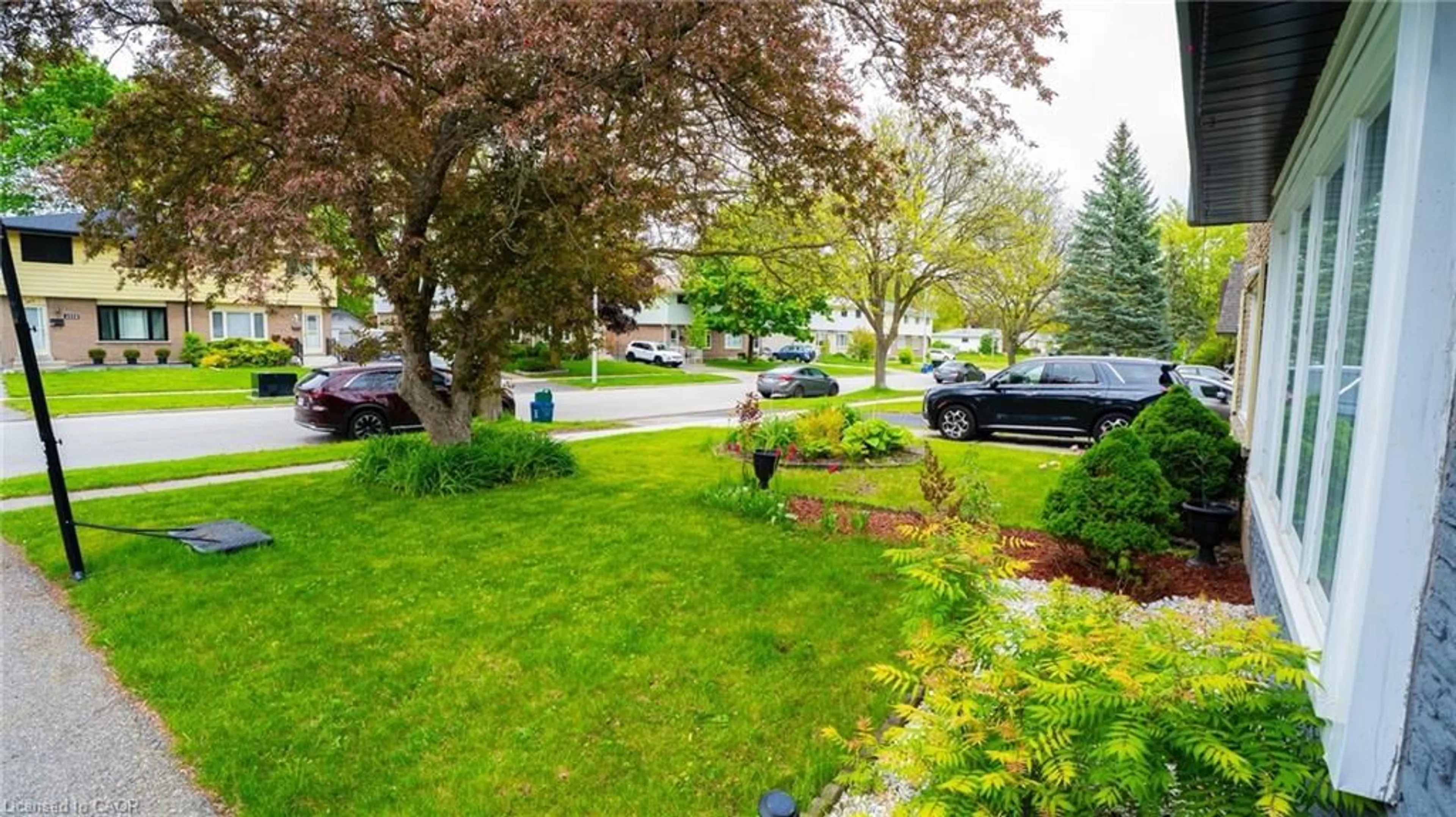 Patio, street for 433B Lee Ave, Waterloo Ontario N2K 2G4