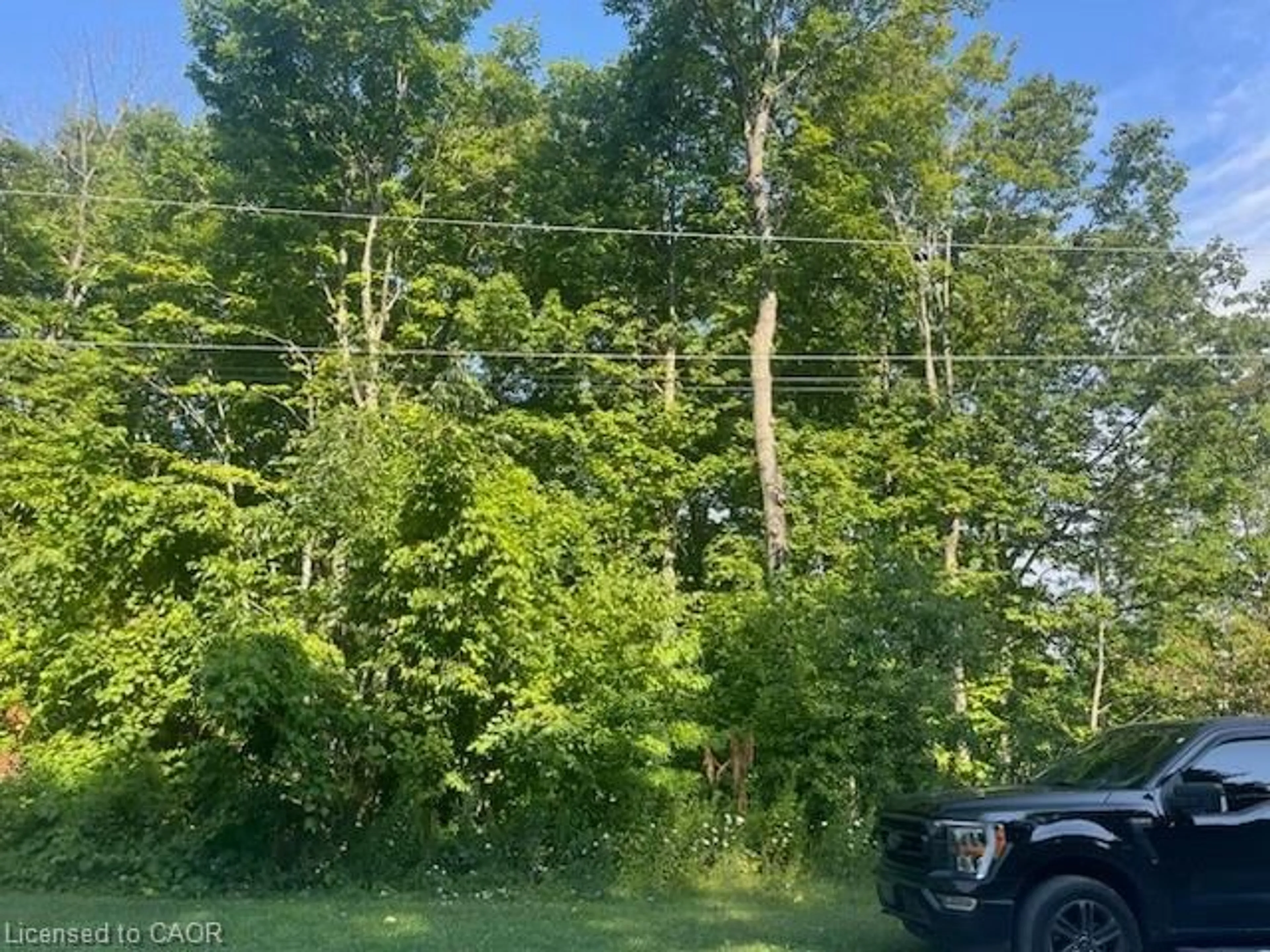 A pic from outside/outdoor area/front of a property/back of a property/a pic from drone, forest/trees view for LOT 13 Ashgrove Lane, Meaford Ontario N0H 1B0