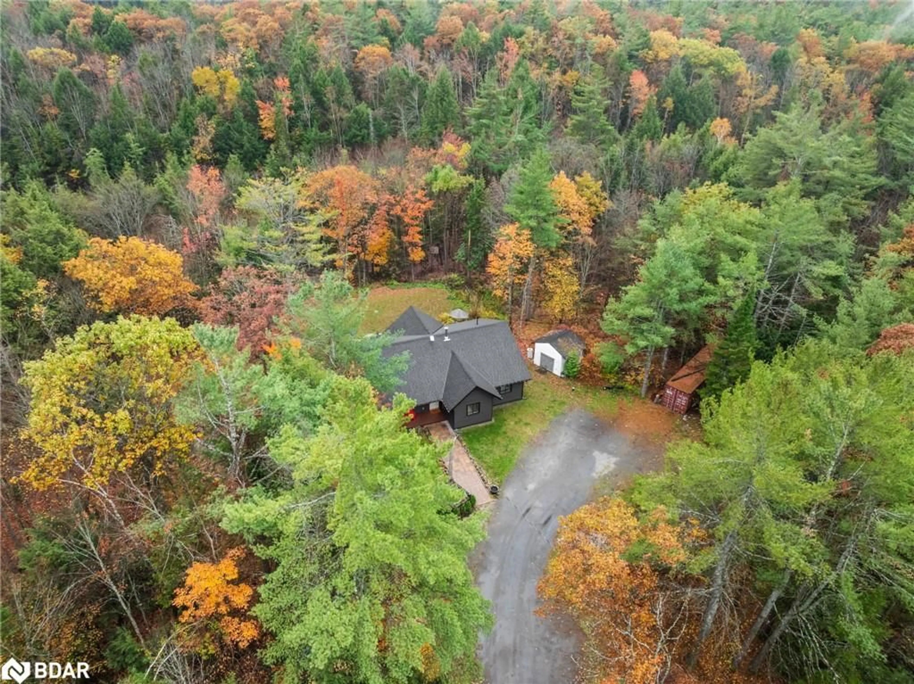 A pic from outside/outdoor area/front of a property/back of a property/a pic from drone, forest/trees view for 1698 Reay Rd, Bracebridge Ontario P1P 1R3
