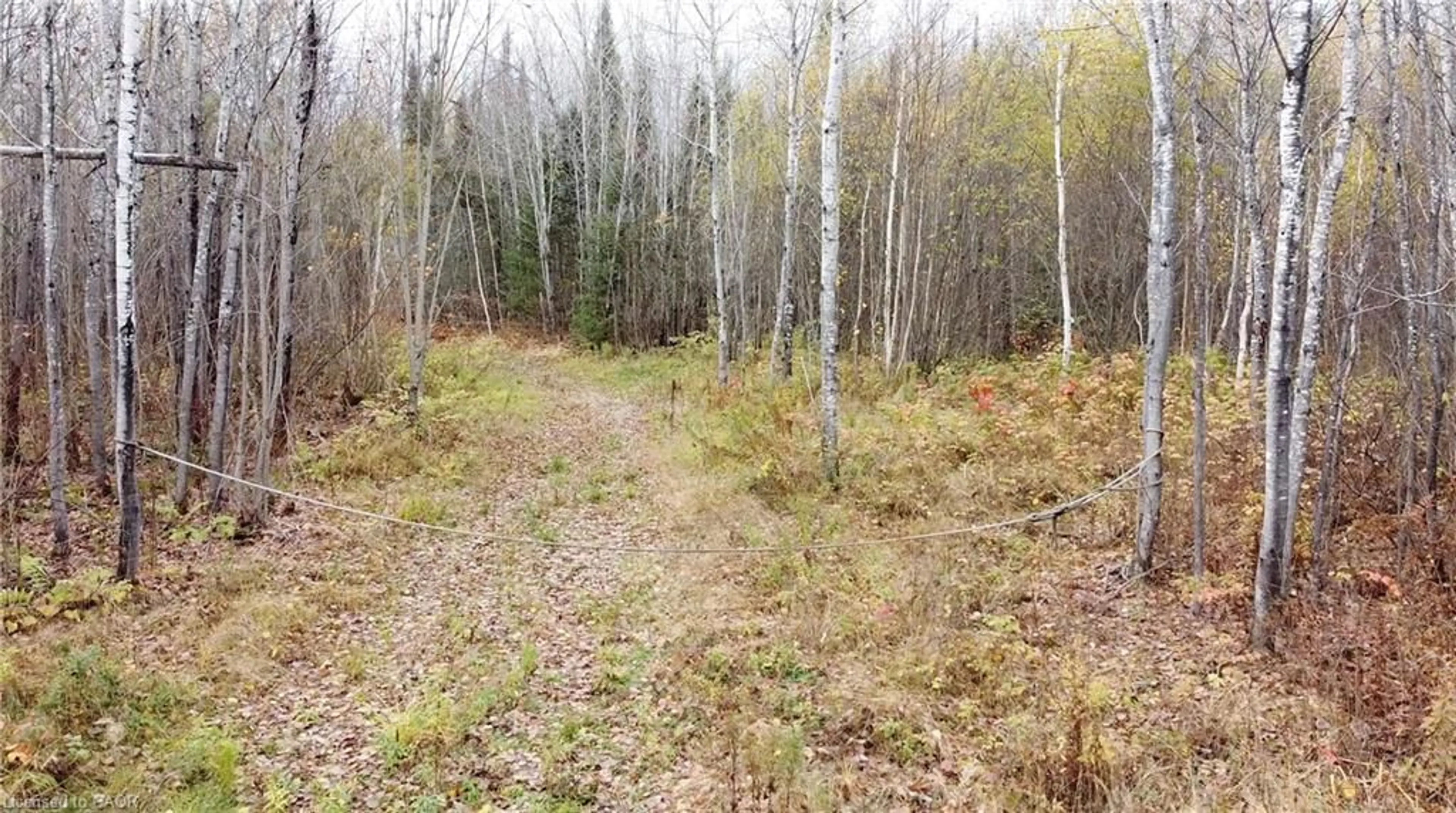 A pic from outside/outdoor area/front of a property/back of a property/a pic from drone, forest/trees view for PT LT 11 Concession 6th Rd, Mattawa Ontario P0H 1V0