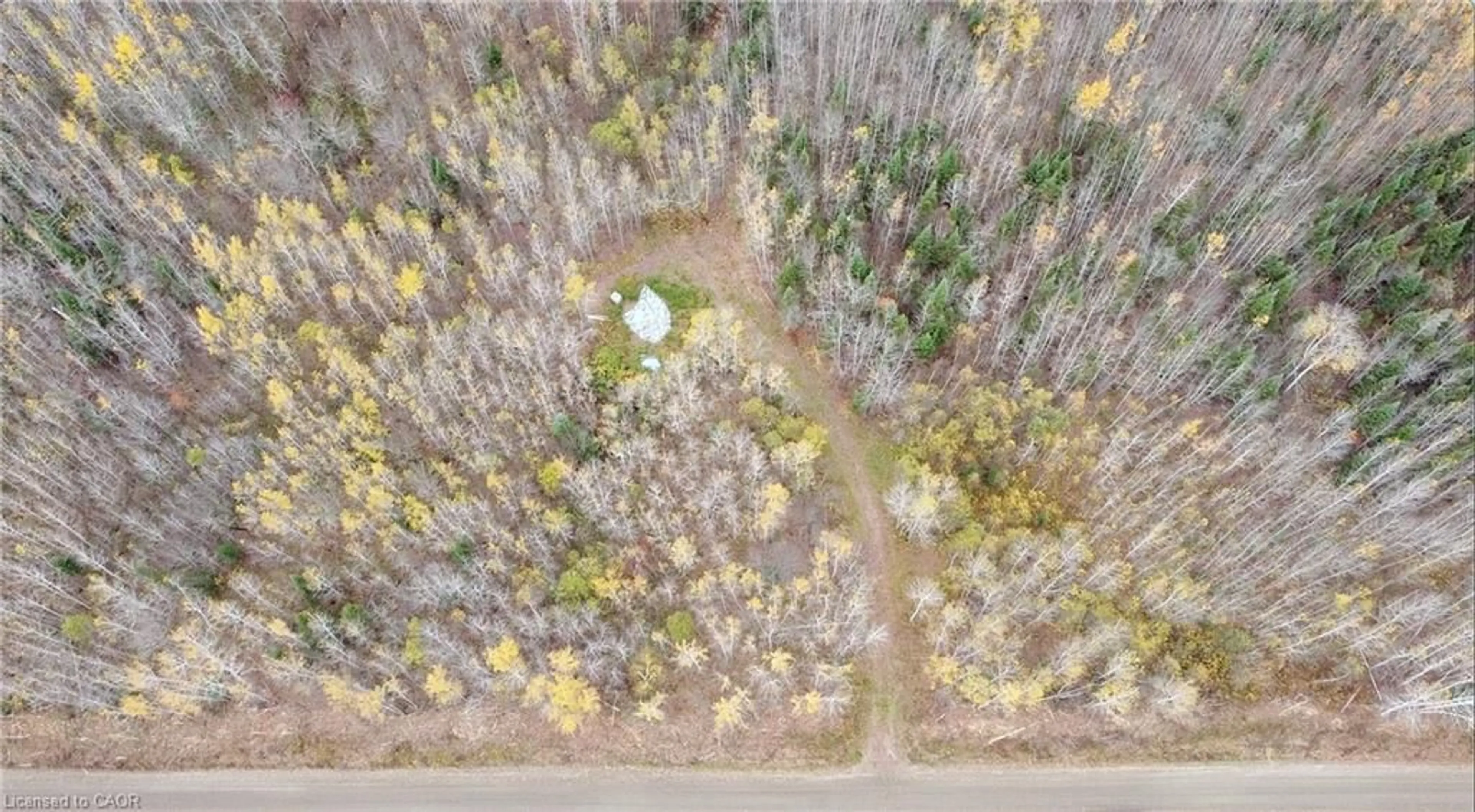 A pic from outside/outdoor area/front of a property/back of a property/a pic from drone, forest/trees view for PT LT 11 Concession 6th Rd, Mattawa Ontario P0H 1V0