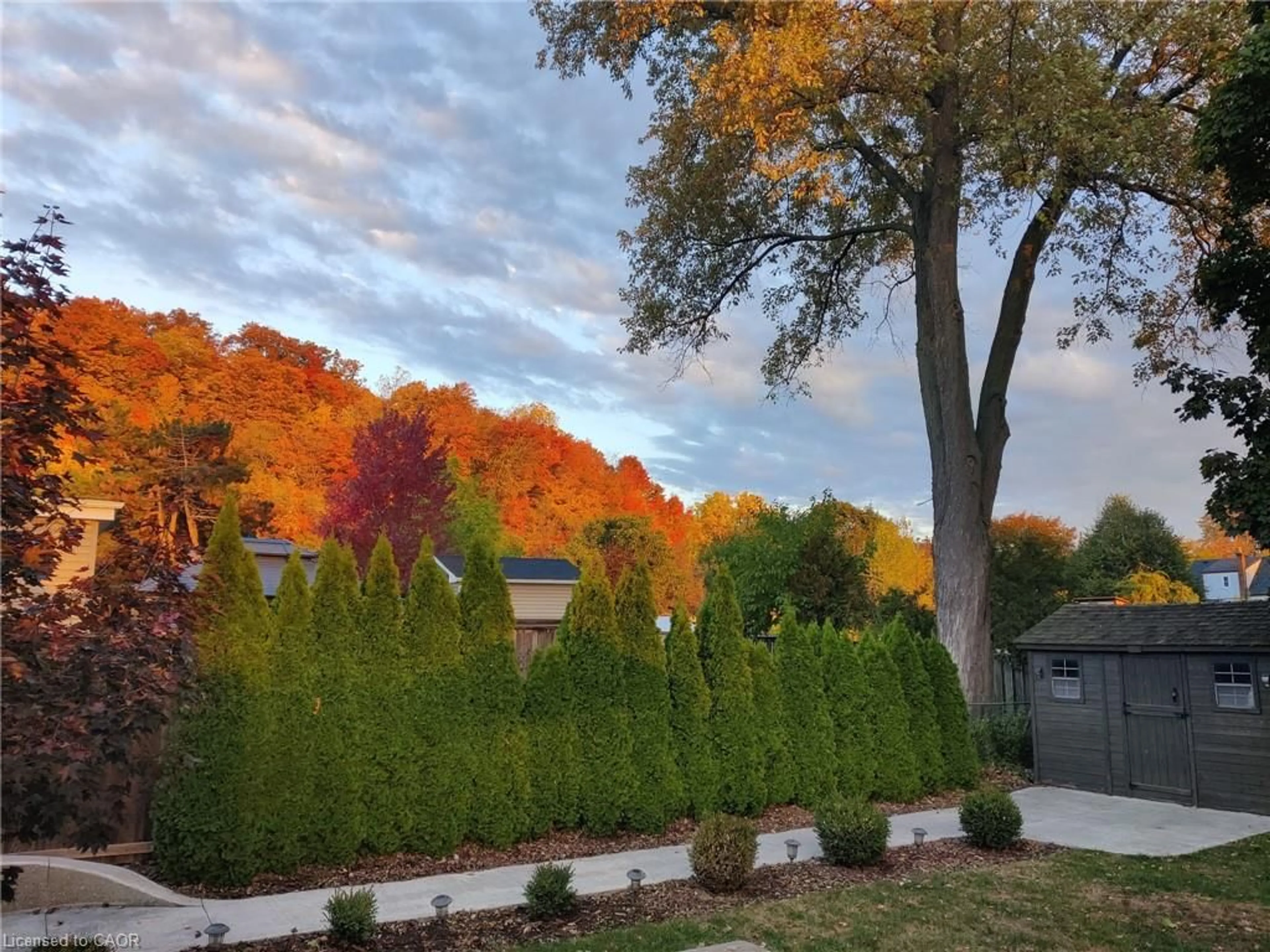 A pic from outside/outdoor area/front of a property/back of a property/a pic from drone, forest/trees view for 25 Montrose Ave, Hamilton Ontario L8K 4X9