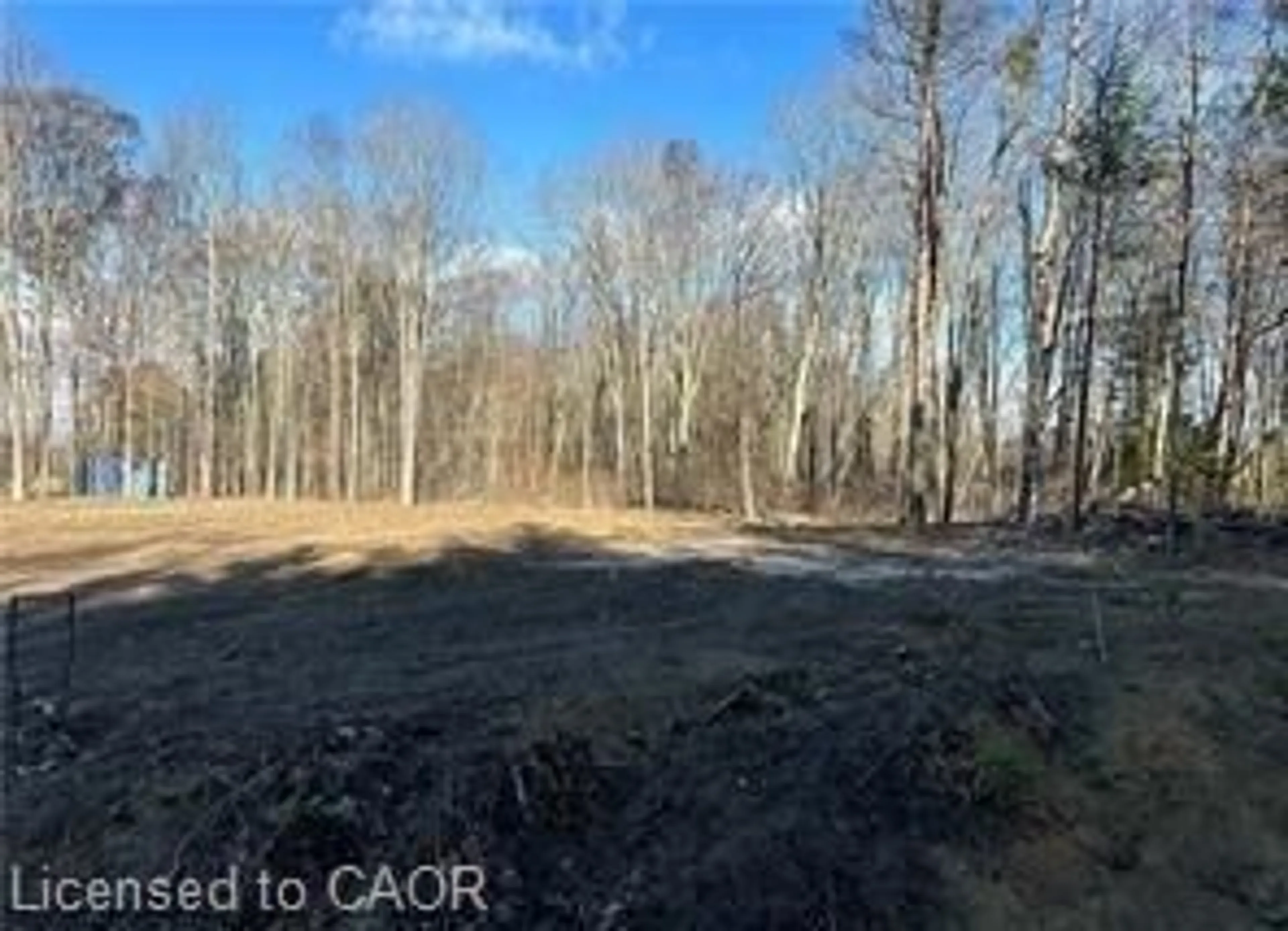 A pic from outside/outdoor area/front of a property/back of a property/a pic from drone, forest/trees view for 1757 Concession 4 Rd, St. Williams Ontario N0E 1P0
