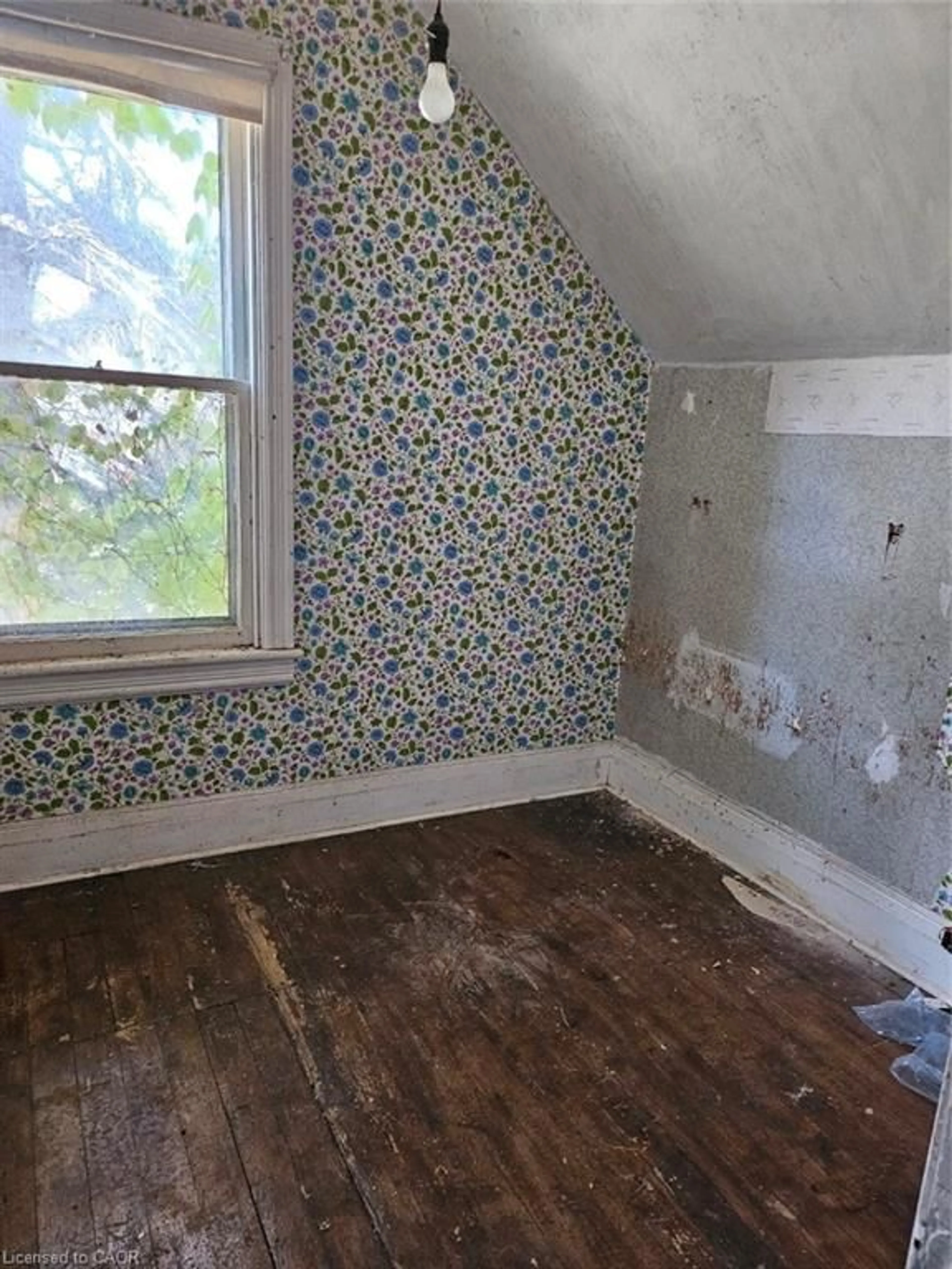 A pic of a room for 81 Emerson St, Hamilton Ontario L8S 2X5