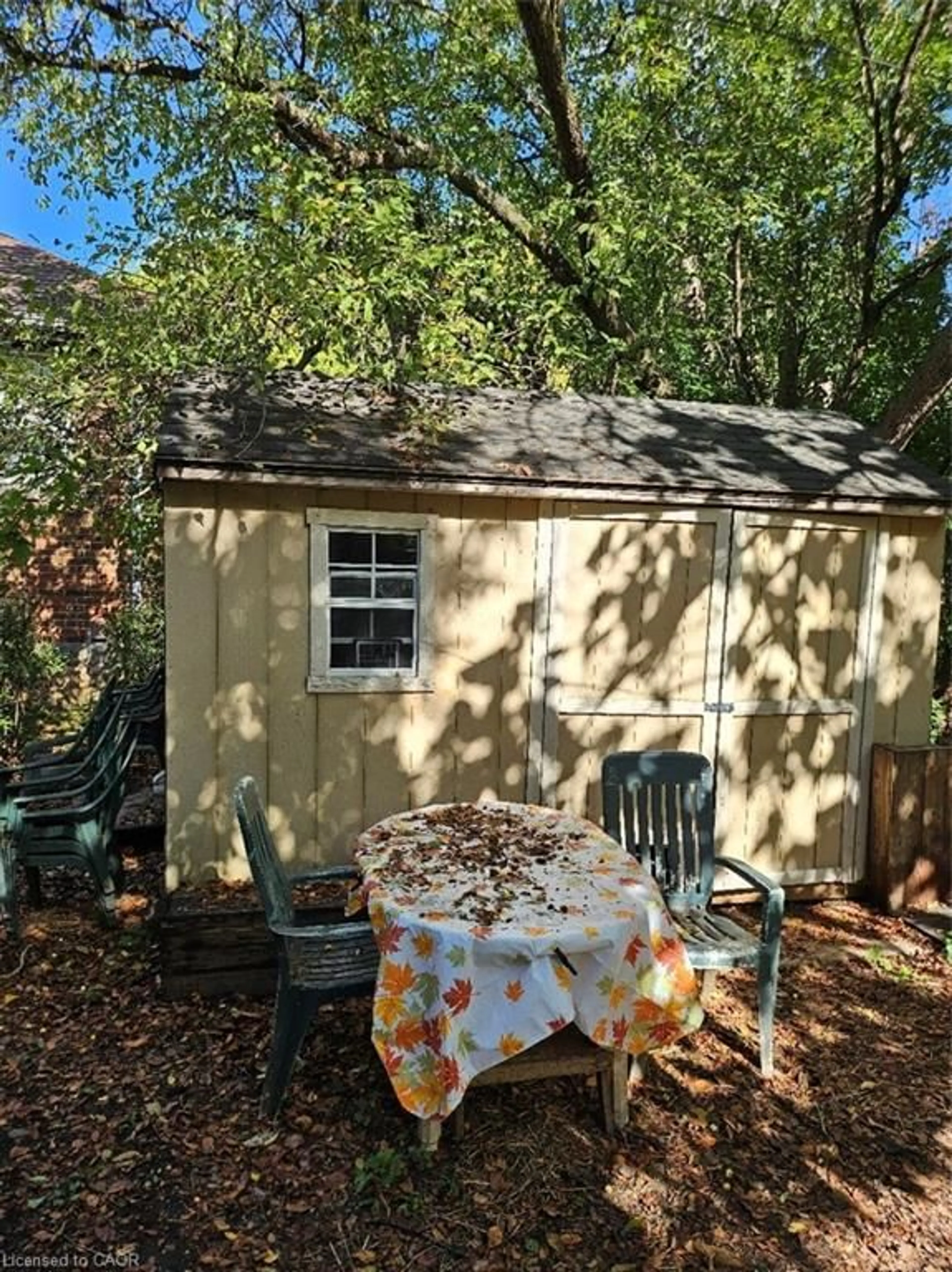 Shed for 81 Emerson St, Hamilton Ontario L8S 2X5