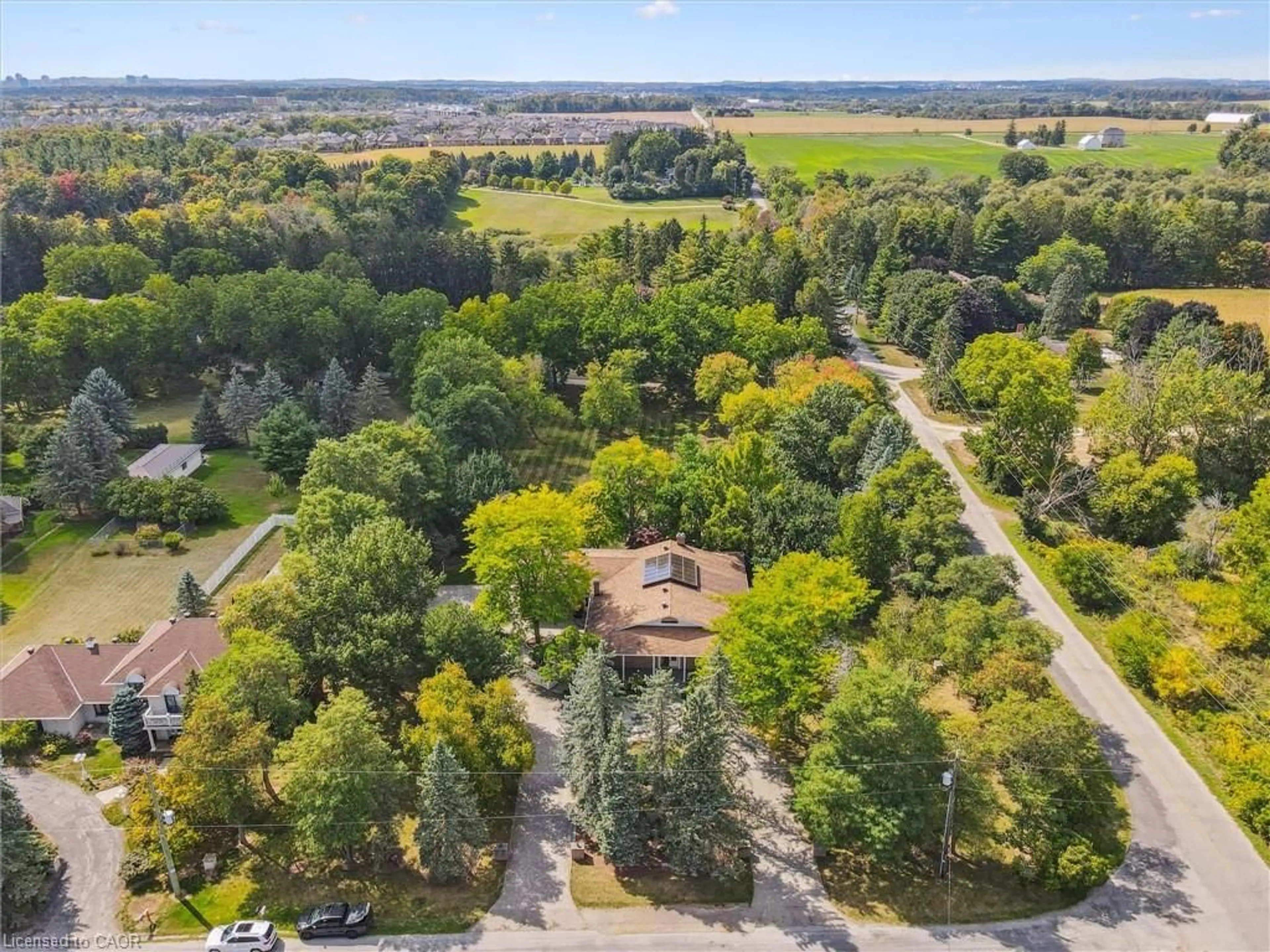 A pic from outside/outdoor area/front of a property/back of a property/a pic from drone, forest/trees view for 35 Charing Cross, Waterloo Ontario N2J 4G8