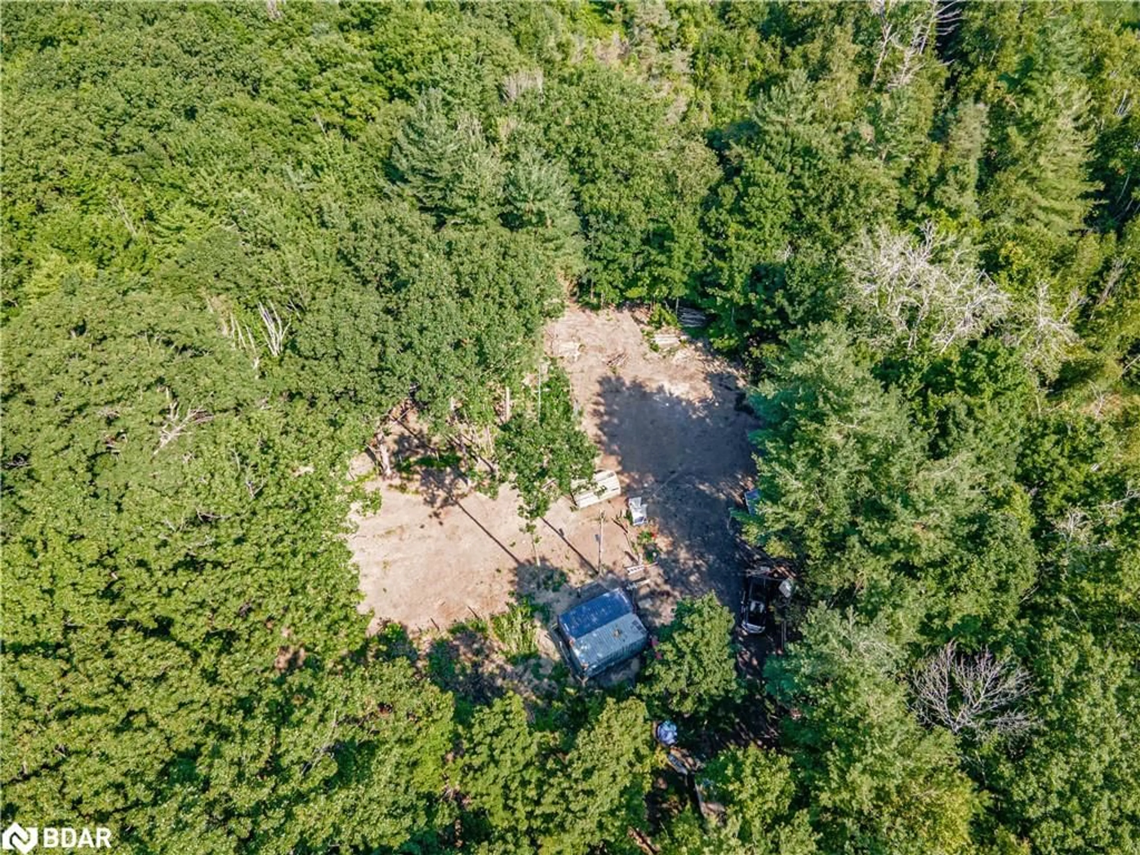 A pic from outside/outdoor area/front of a property/back of a property/a pic from drone, forest/trees view for 8294 County Rd 27, Barrie Ontario L4N 9C4