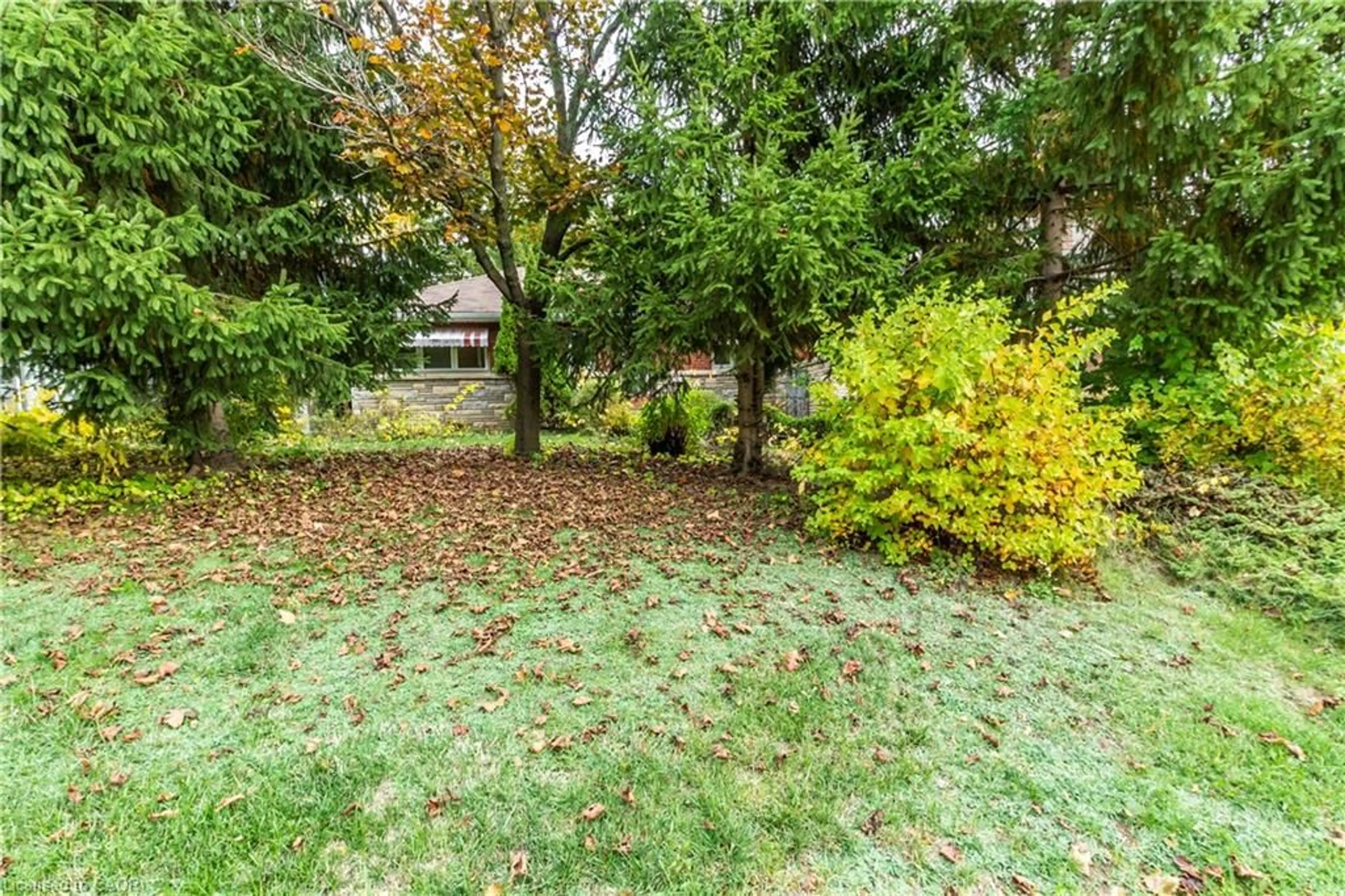 A pic from outside/outdoor area/front of a property/back of a property/a pic from drone, forest/trees view for 14 Cloverhill Ave, Dundas Ontario L9H 2P2
