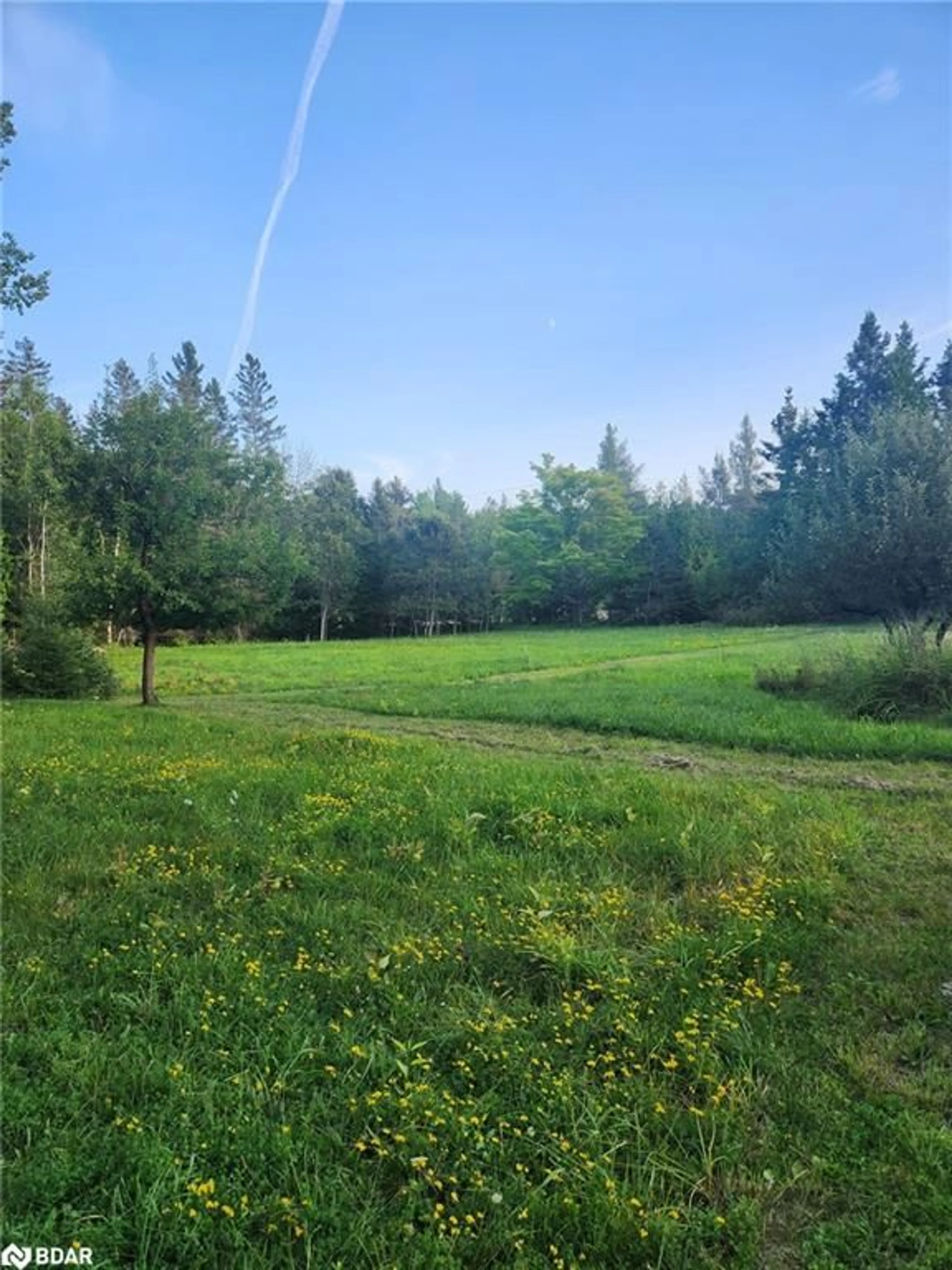 A pic from outside/outdoor area/front of a property/back of a property/a pic from drone, forest/trees view for 20250 Hwy 540, Silver Water Ontario P0P 1H0