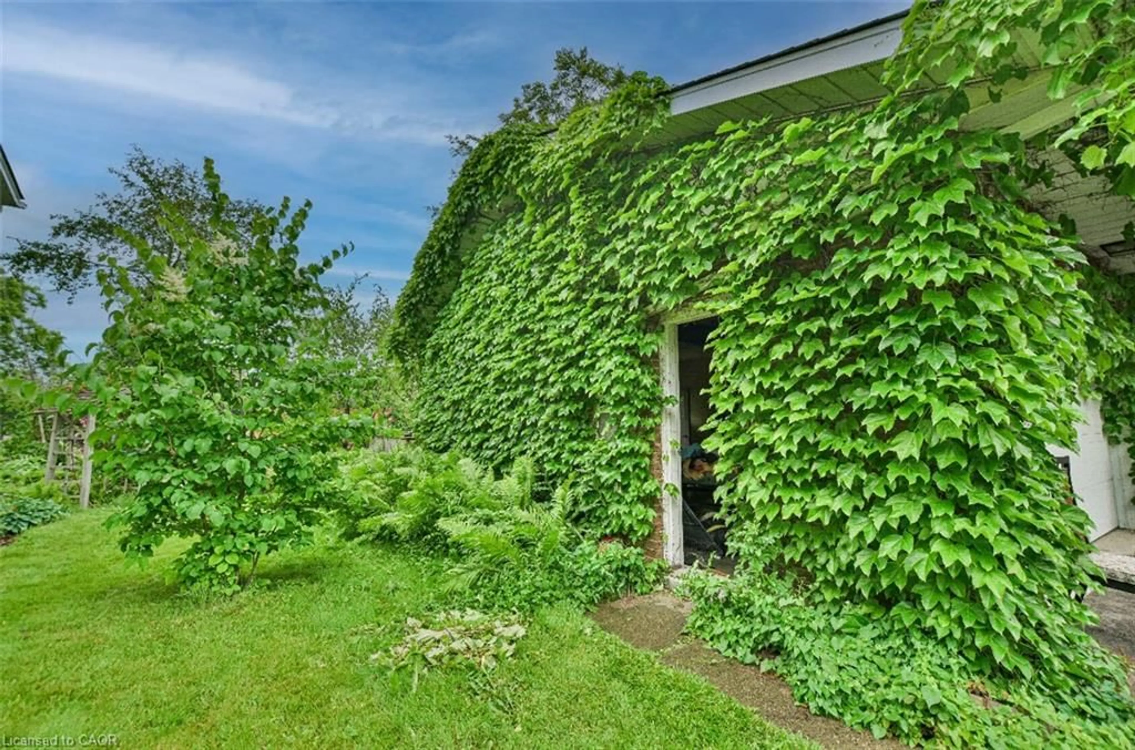 Patio, building for 46 Birchcliff Ave, Kitchener Ontario N2M 4V6