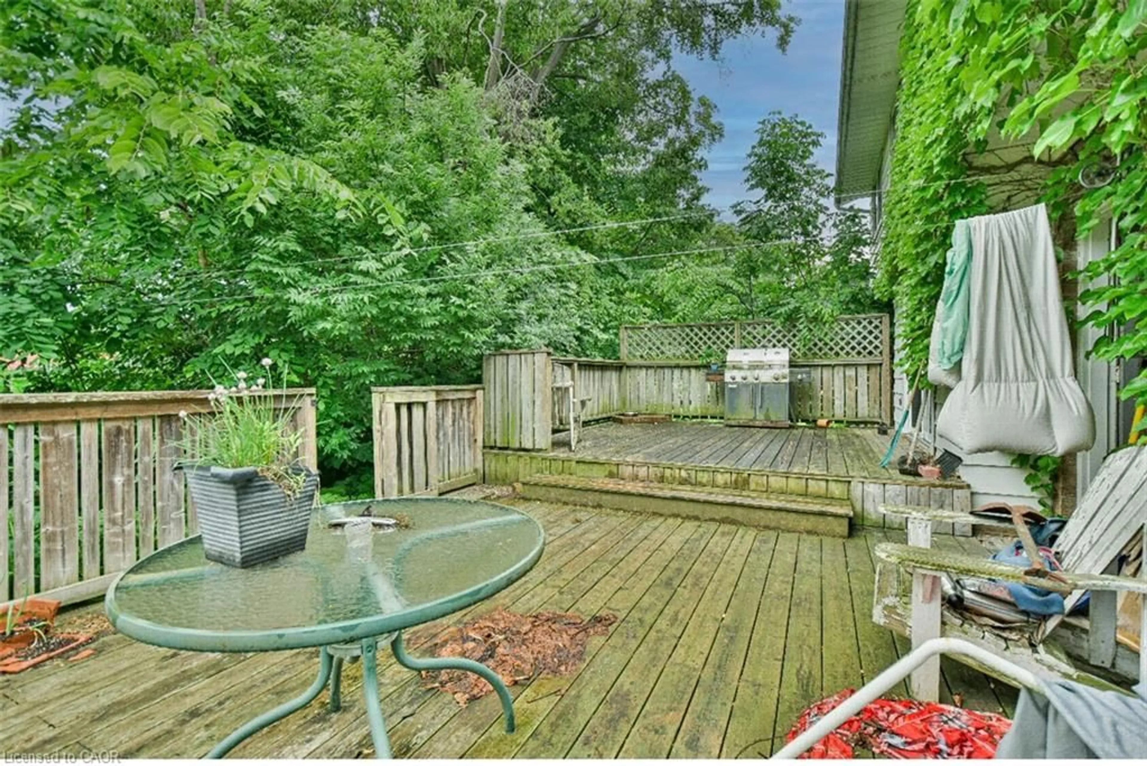 Patio, water/lake/river/ocean view for 46 Birchcliff Ave, Kitchener Ontario N2M 4V6