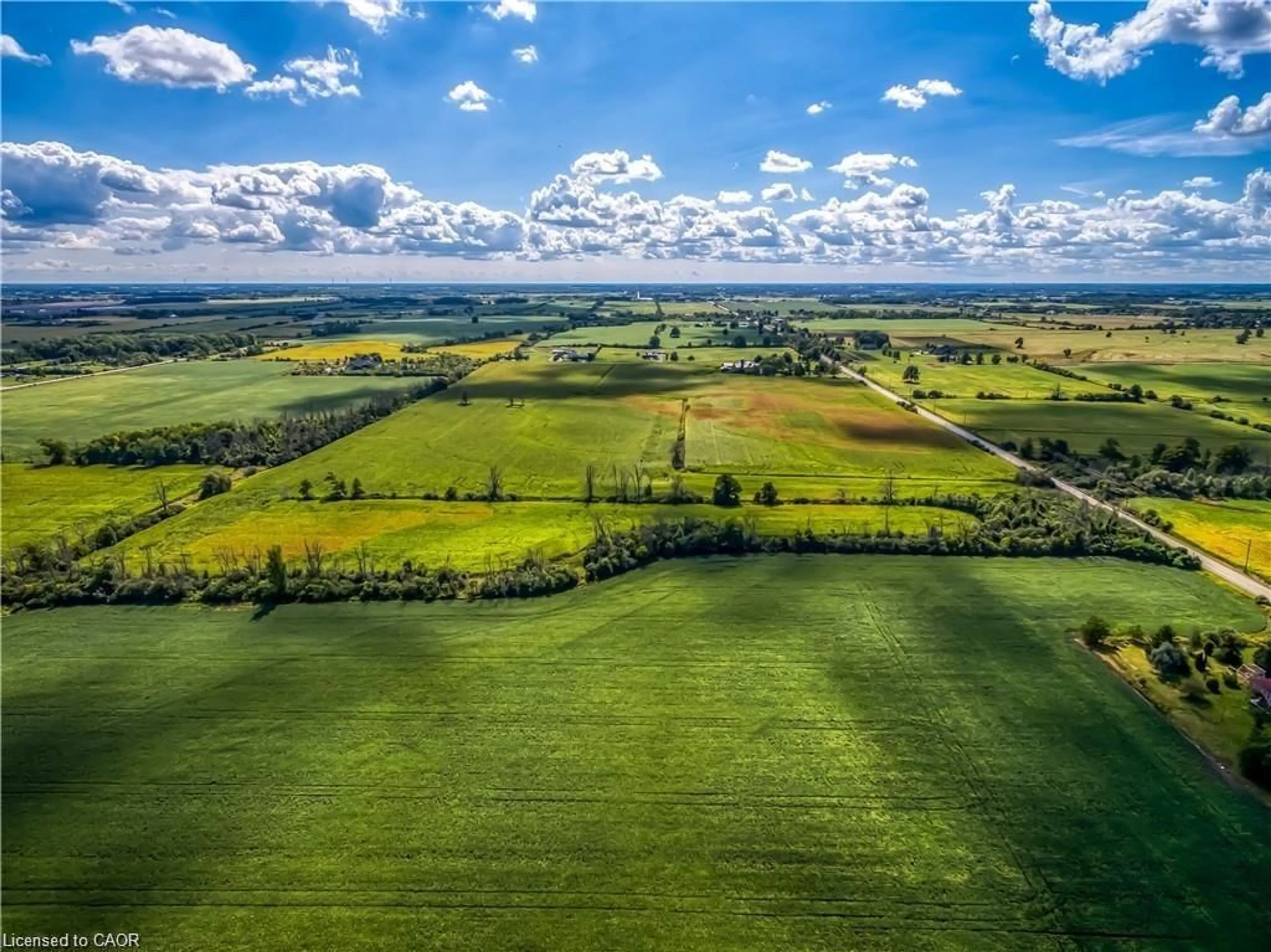 A pic from outside/outdoor area/front of a property/back of a property/a pic from drone, forest/trees view for 406 Tapleytown Rd, Hamilton Ontario L8J 3K6