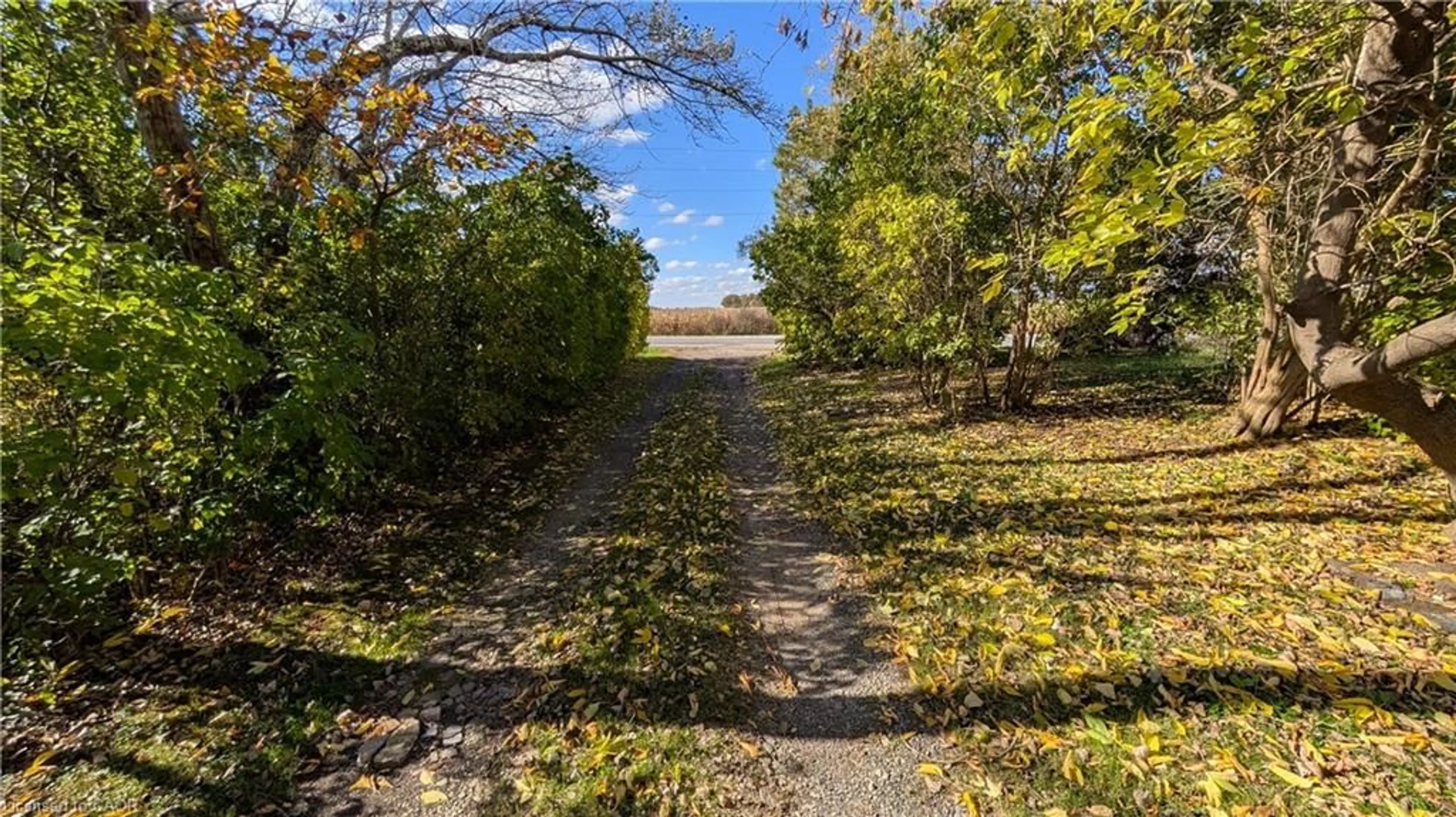 A pic from outside/outdoor area/front of a property/back of a property/a pic from drone, street for 172 Tyneside Rd, Caledonia Ontario N3W 2J1
