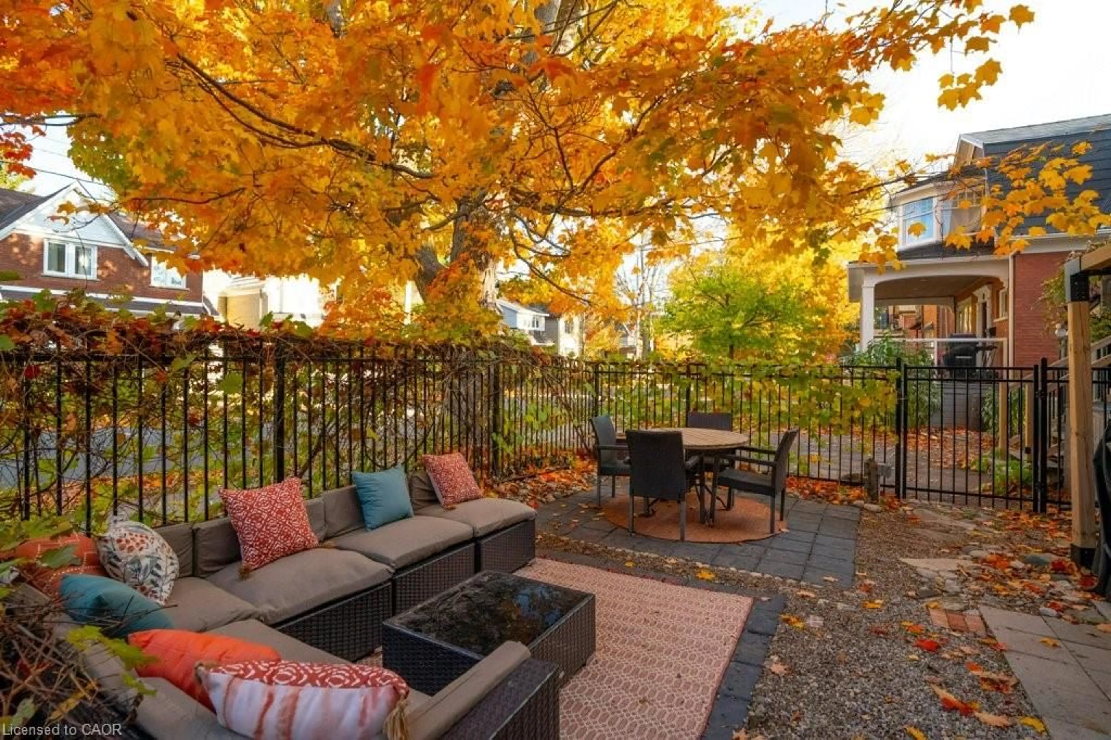 Patio, street for 218 Herbert St, Waterloo Ontario N2J 1T9