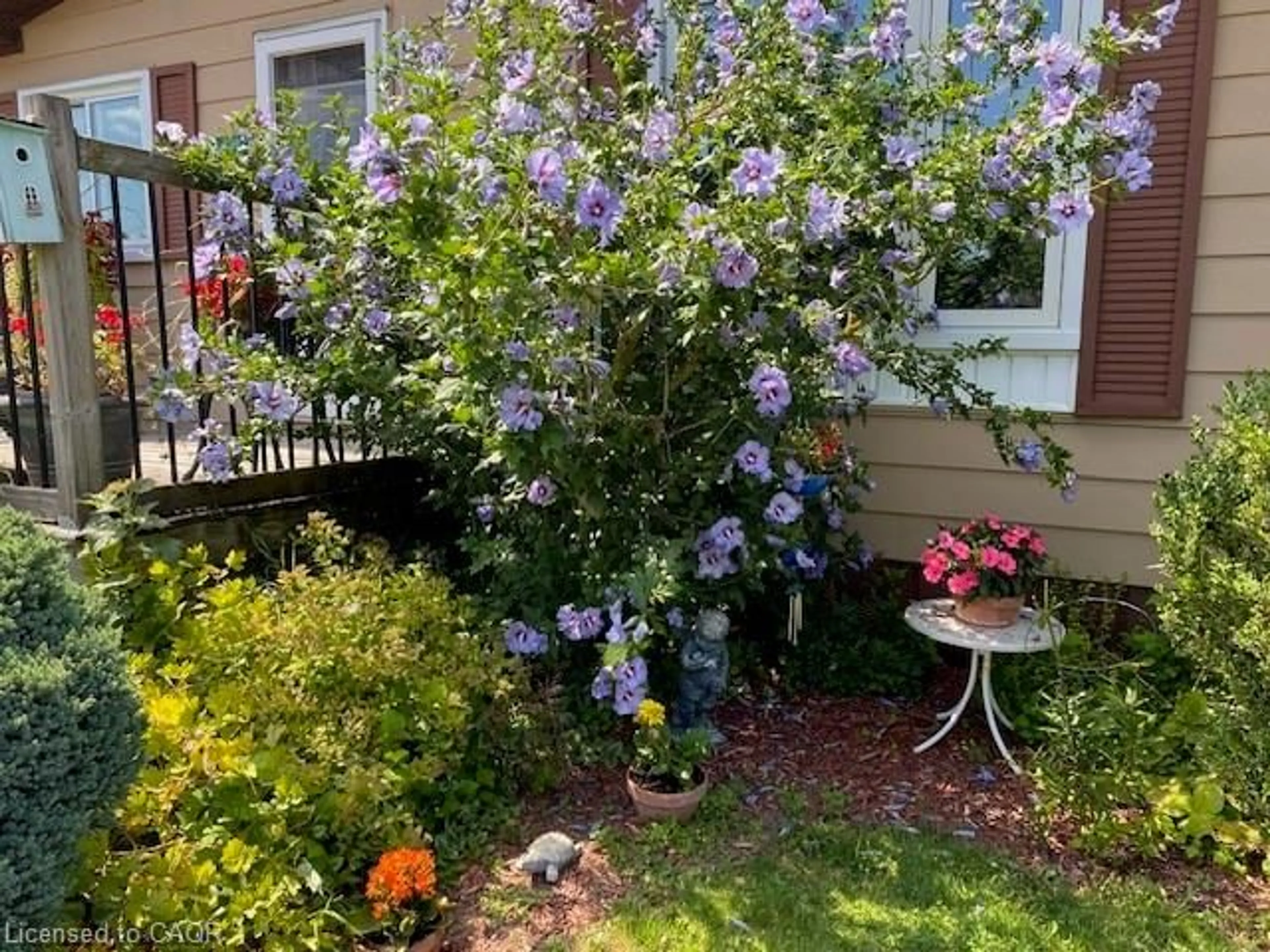 Patio, street for 14 Fairview Cres, Listowel Ontario N4W 3G8