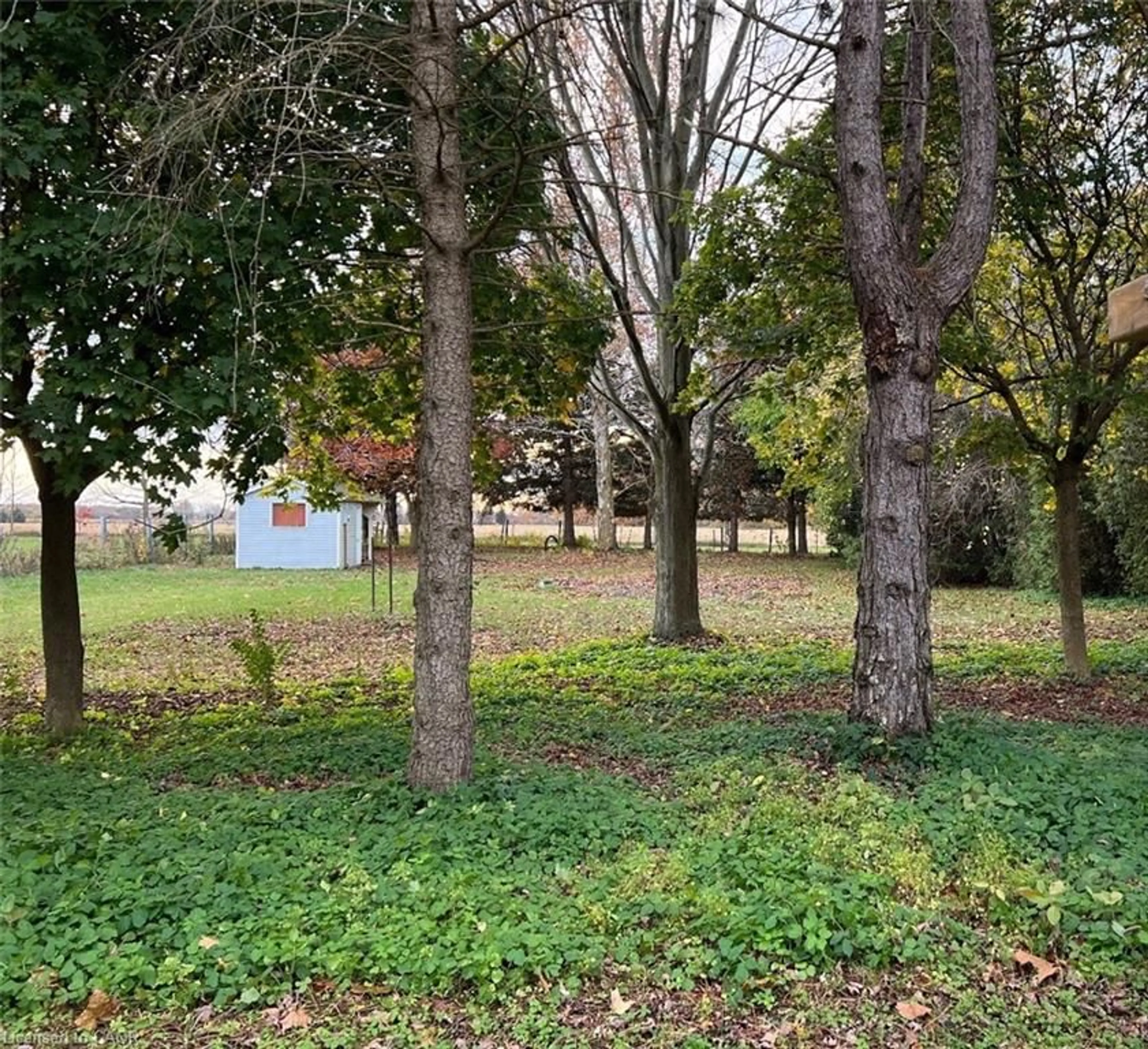 A pic from outside/outdoor area/front of a property/back of a property/a pic from drone, forest/trees view for 10767 Graham Rd, West Lorne Ontario N0L 2P0