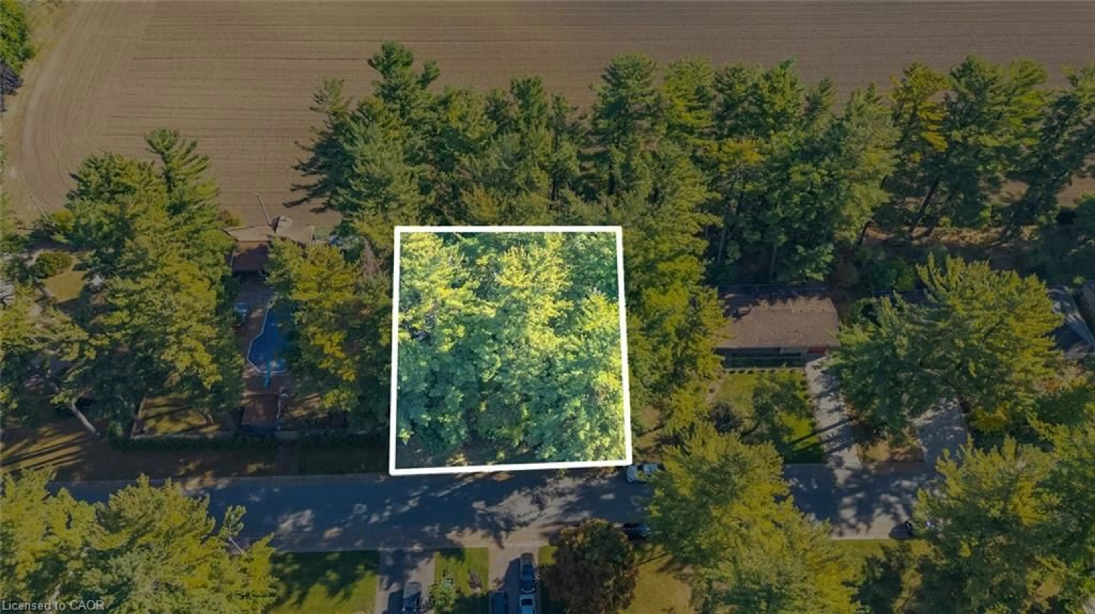 A pic from outside/outdoor area/front of a property/back of a property/a pic from drone, forest/trees view for 643 Gage St, Delhi Ontario N4B 2G7
