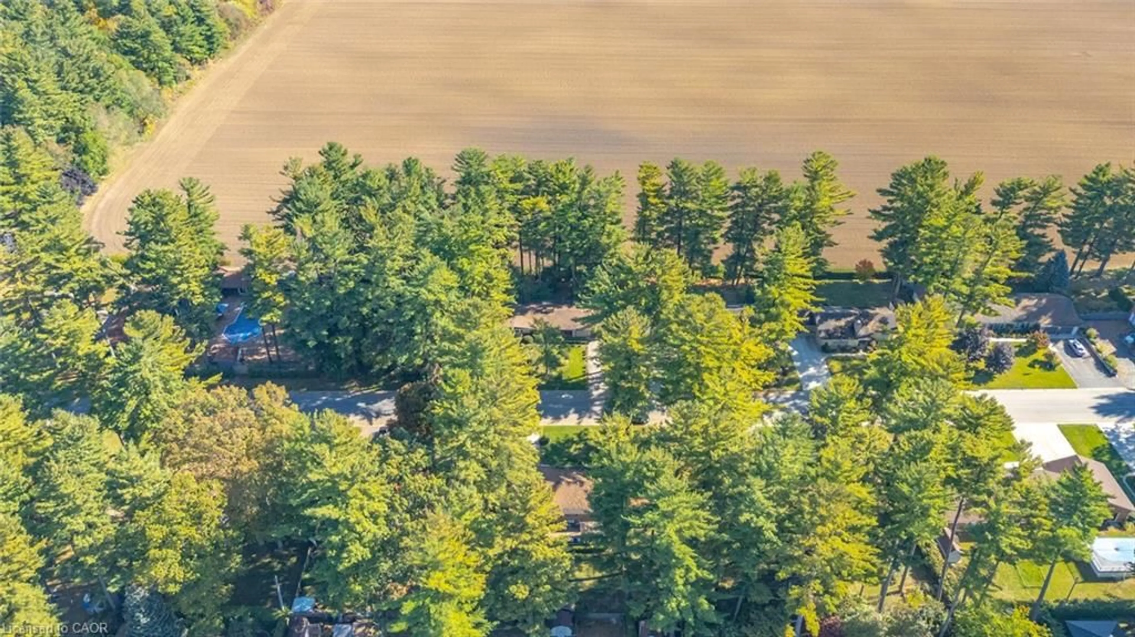 A pic from outside/outdoor area/front of a property/back of a property/a pic from drone, forest/trees view for 643 Gage St, Delhi Ontario N4B 2G7