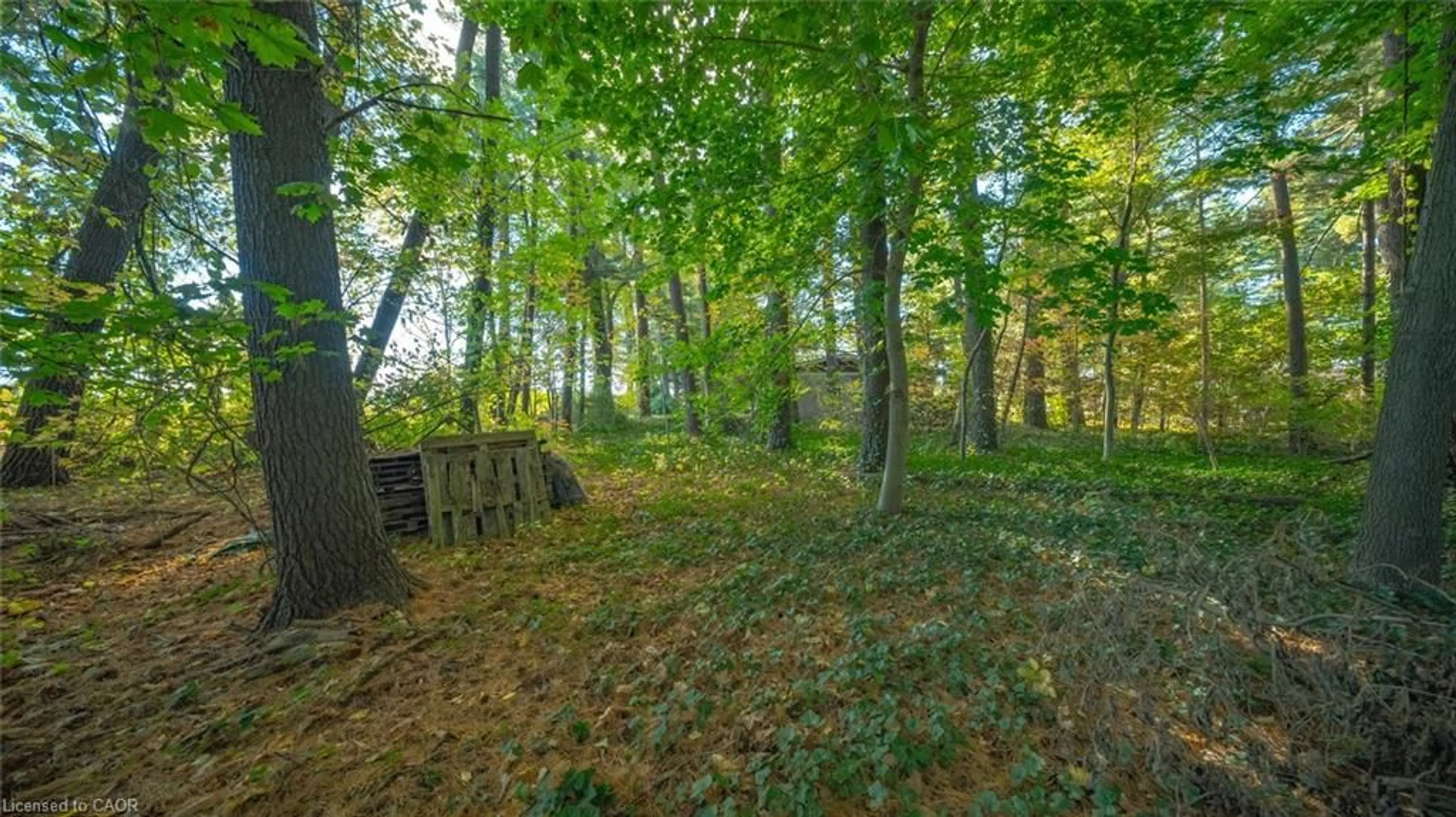 Unknown for 643 Gage St, Delhi Ontario N4B 2G7