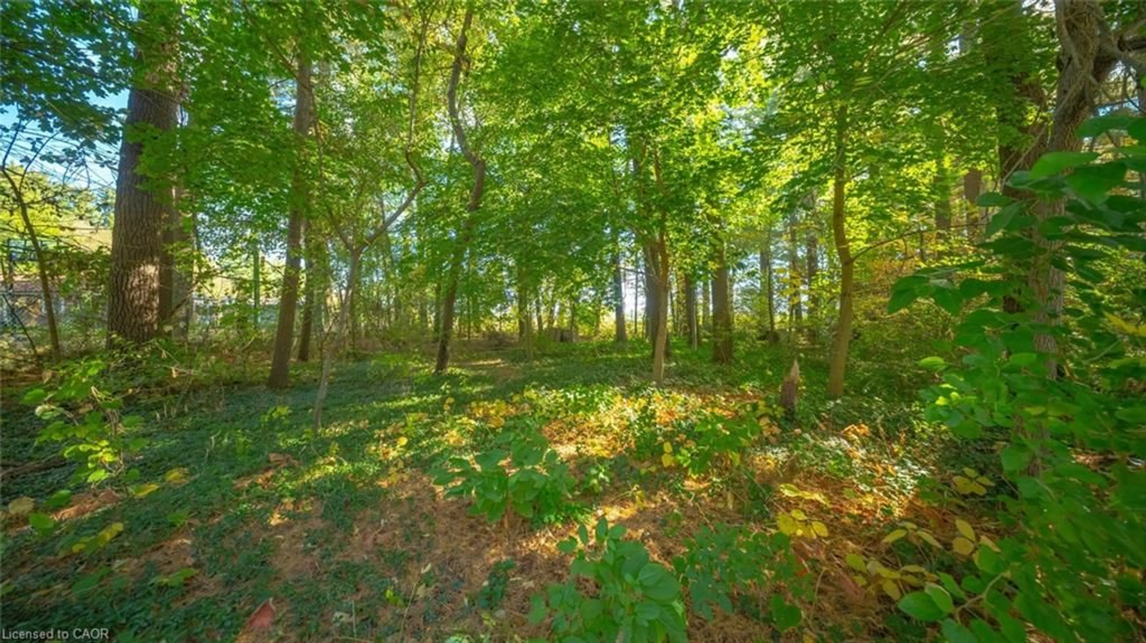 Unknown for 643 Gage St, Delhi Ontario N4B 2G7