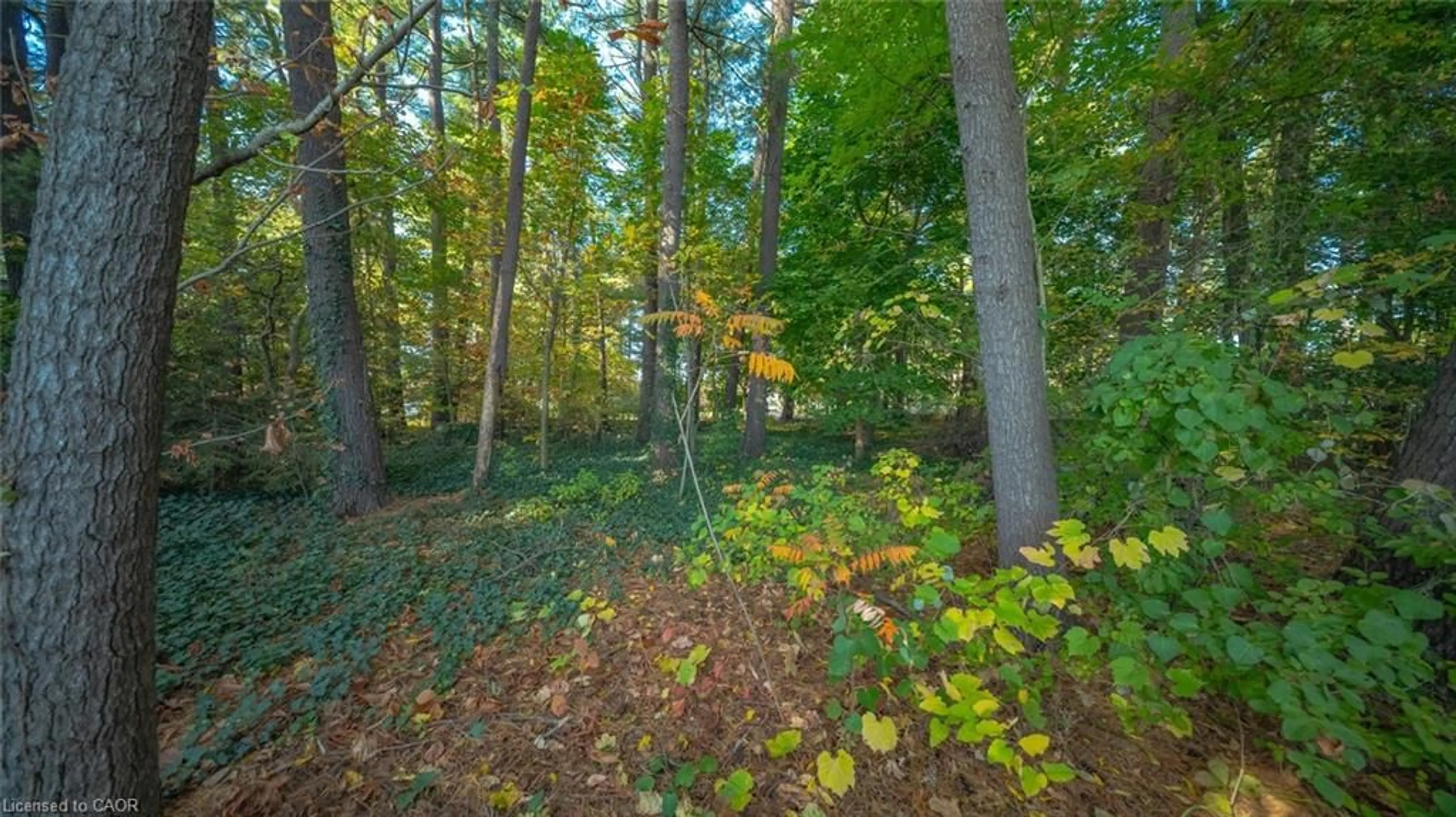 Unknown for 643 Gage St, Delhi Ontario N4B 2G7