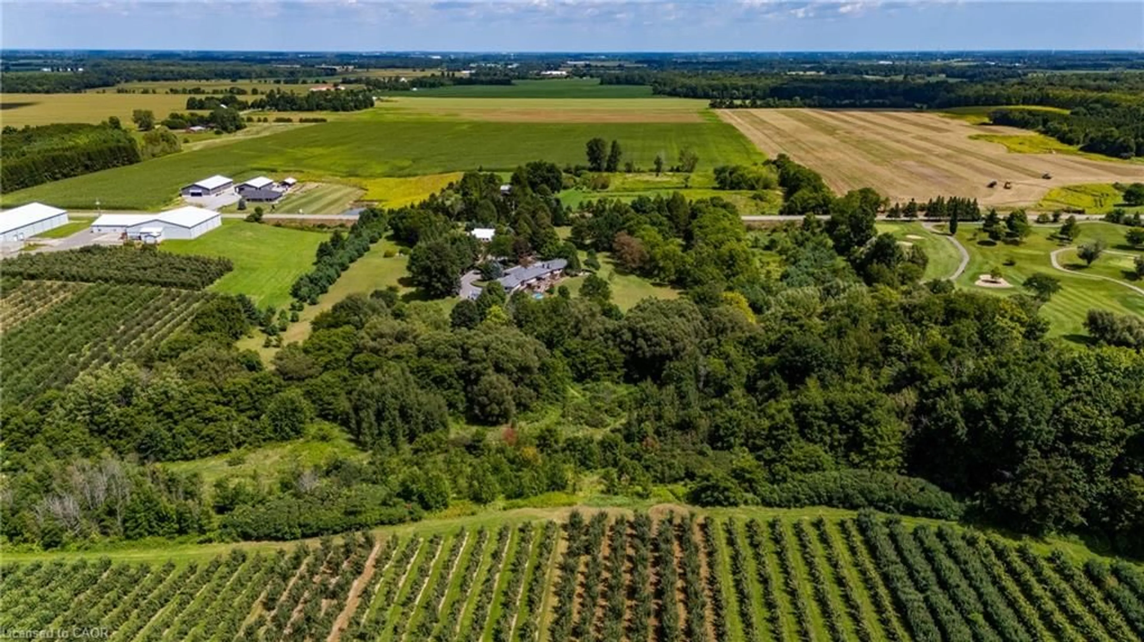 A pic from outside/outdoor area/front of a property/back of a property/a pic from drone, forest/trees view for 1285 Cockshutt Rd, Renton Ontario N3Y 4K3
