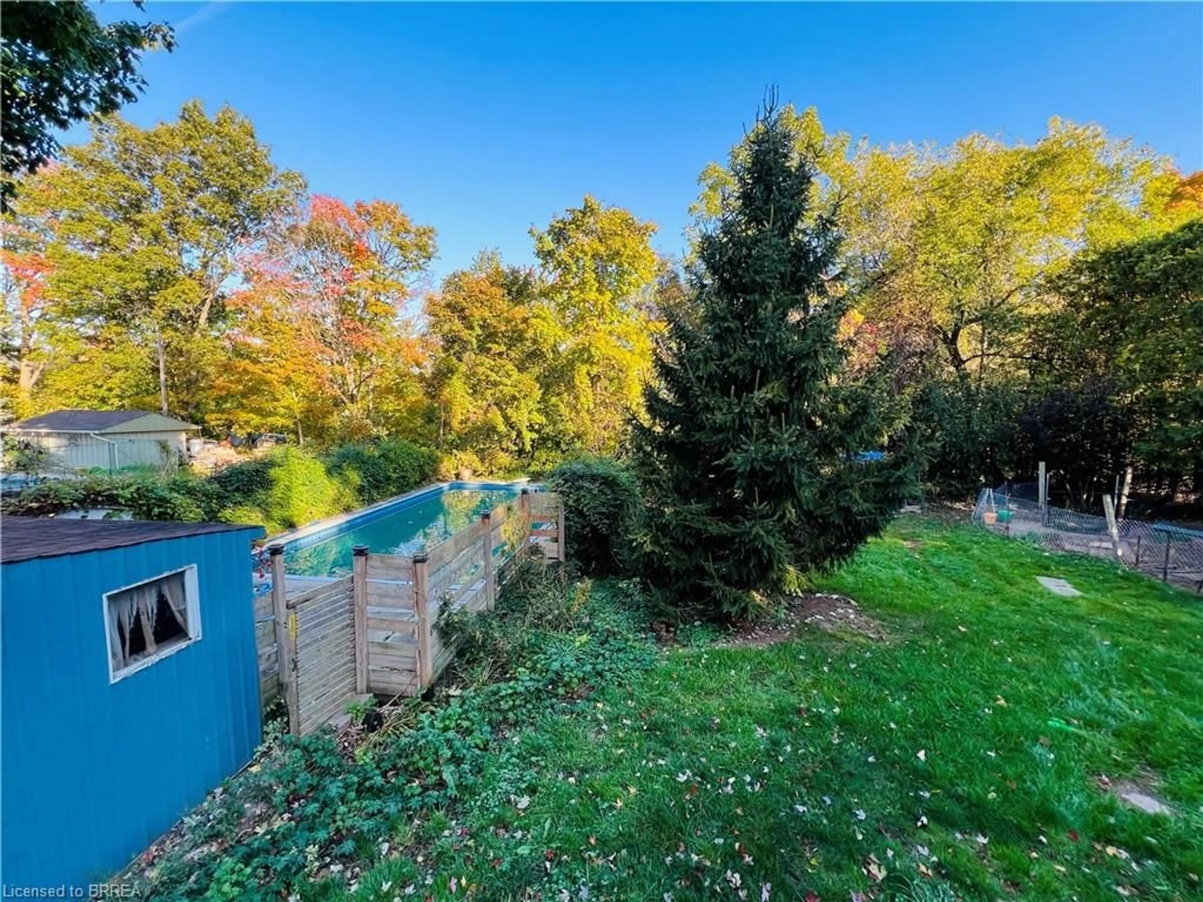 A pic from outside/outdoor area/front of a property/back of a property/a pic from drone, forest/trees view for 56 Sixth Concession Rd, Burford Ontario N3T 5L7