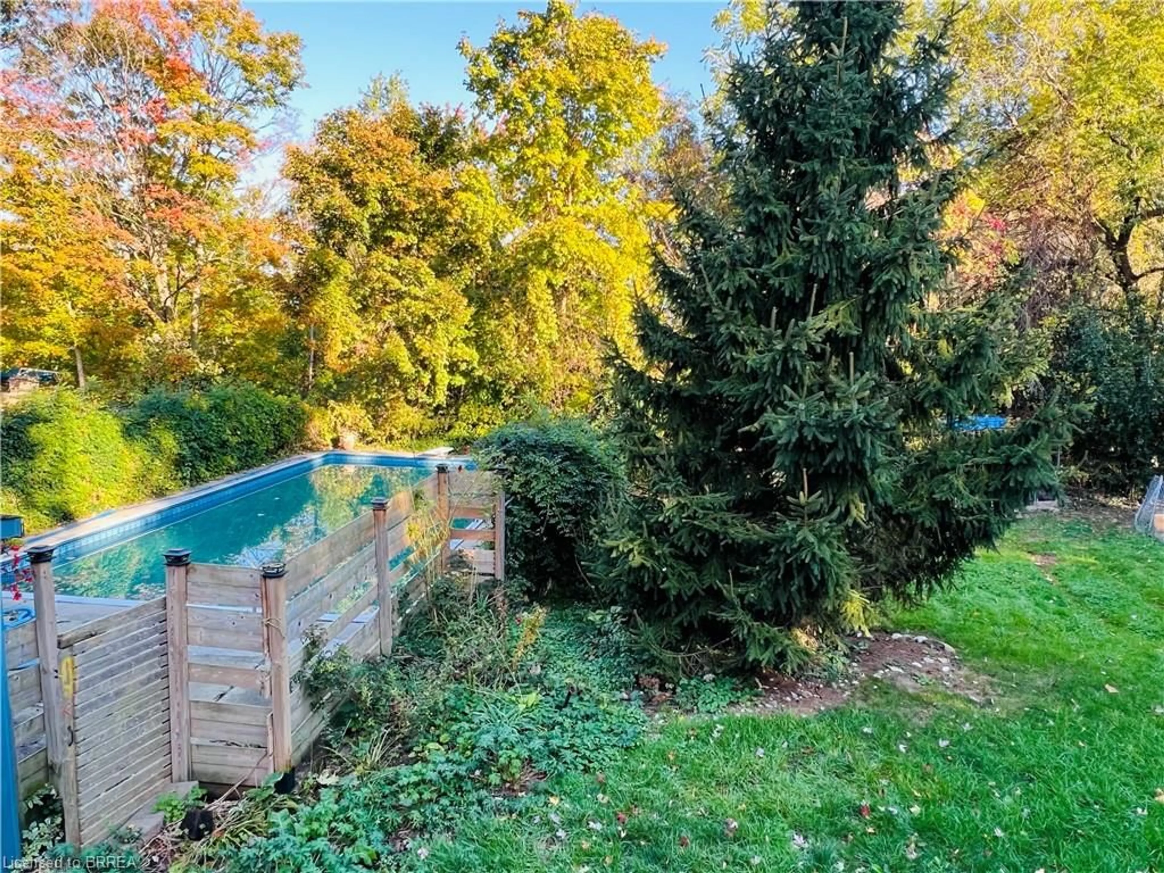 Pool for 56 Sixth Concession Rd, Burford Ontario N3T 5L7