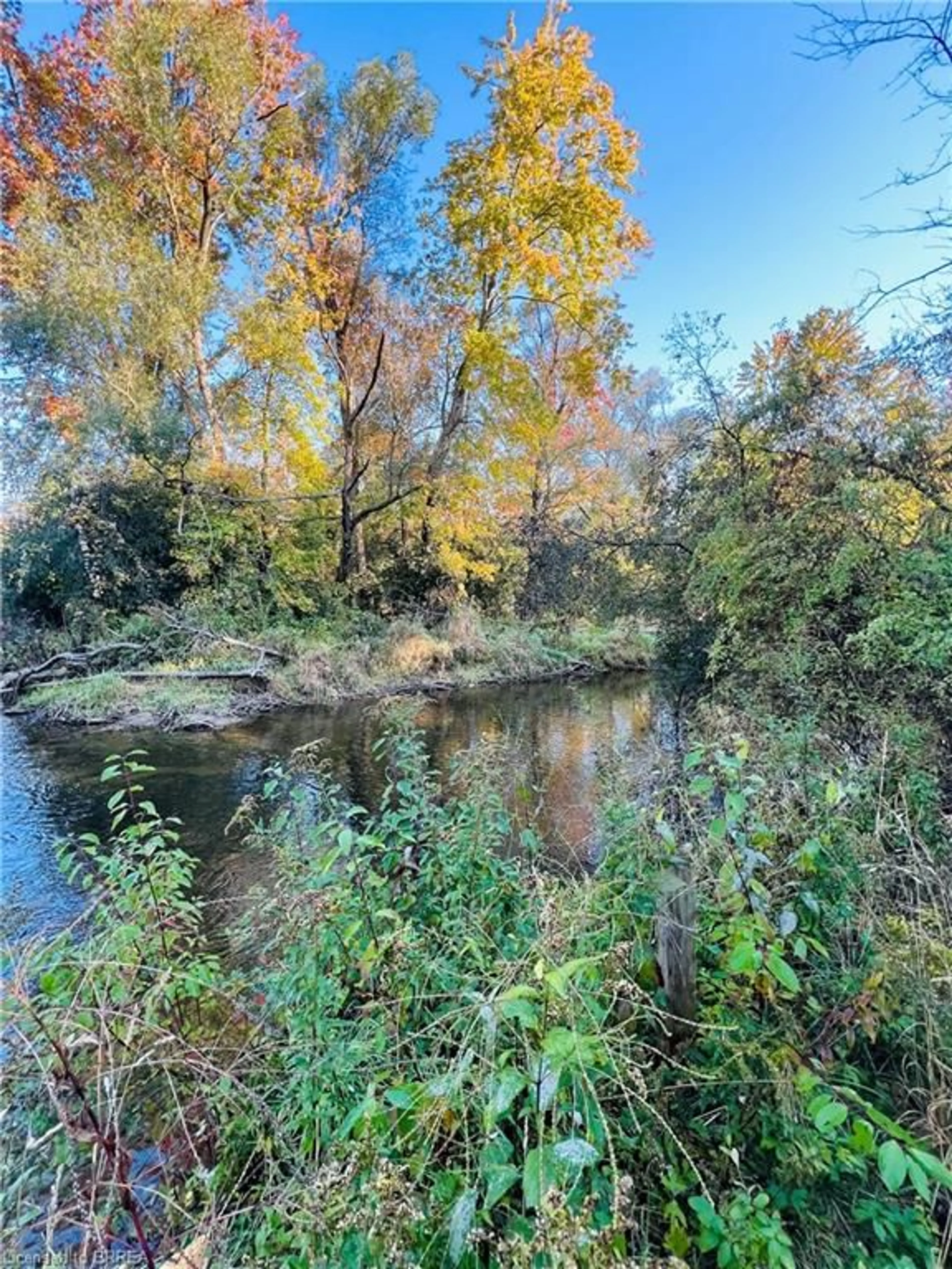 Blurry image for 56 Sixth Concession Rd, Burford Ontario N3T 5L7