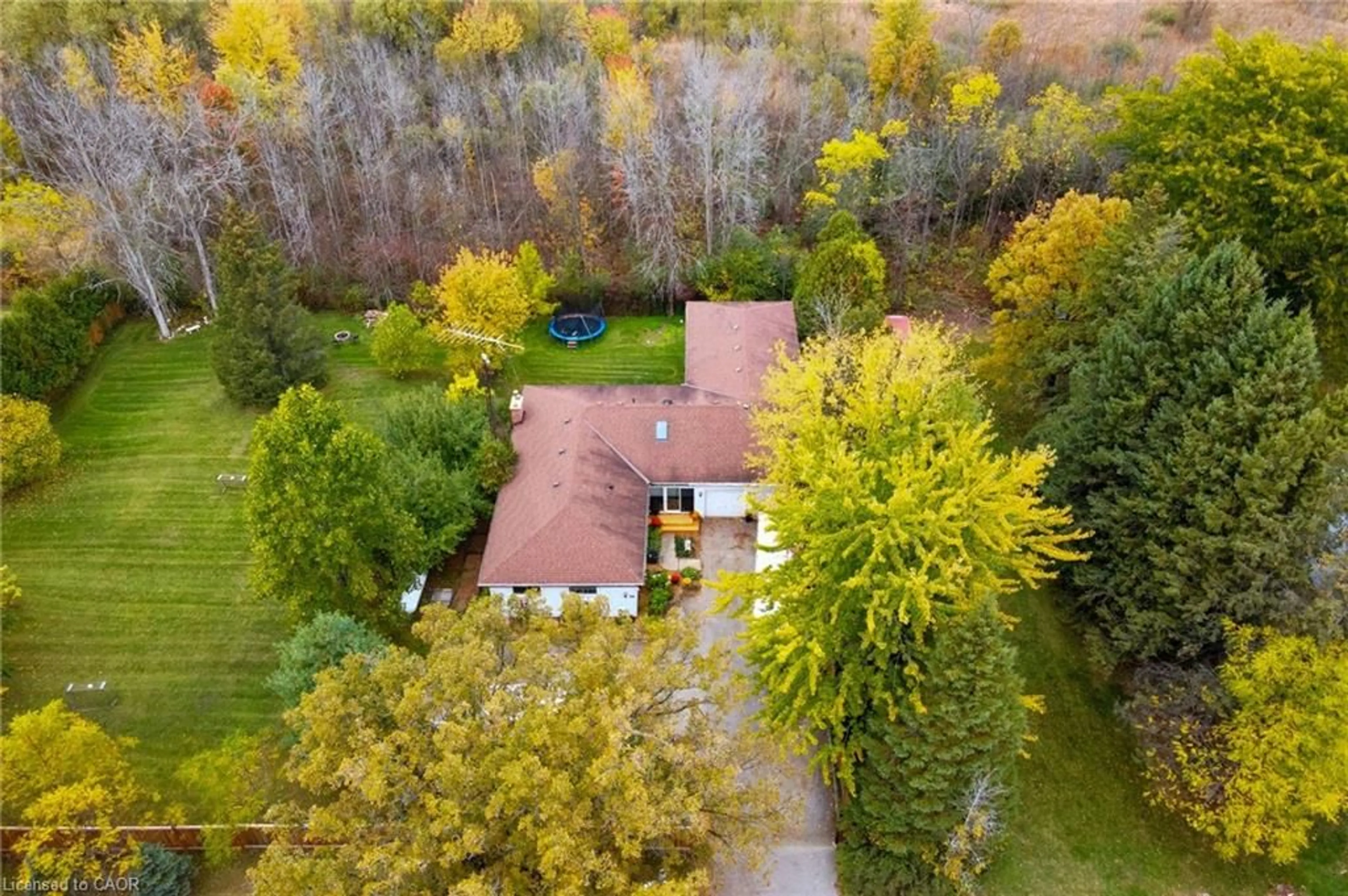 A pic from outside/outdoor area/front of a property/back of a property/a pic from drone, forest/trees view for 1967 Regional 97 Rd, Flamborough Ontario N1R 5S7