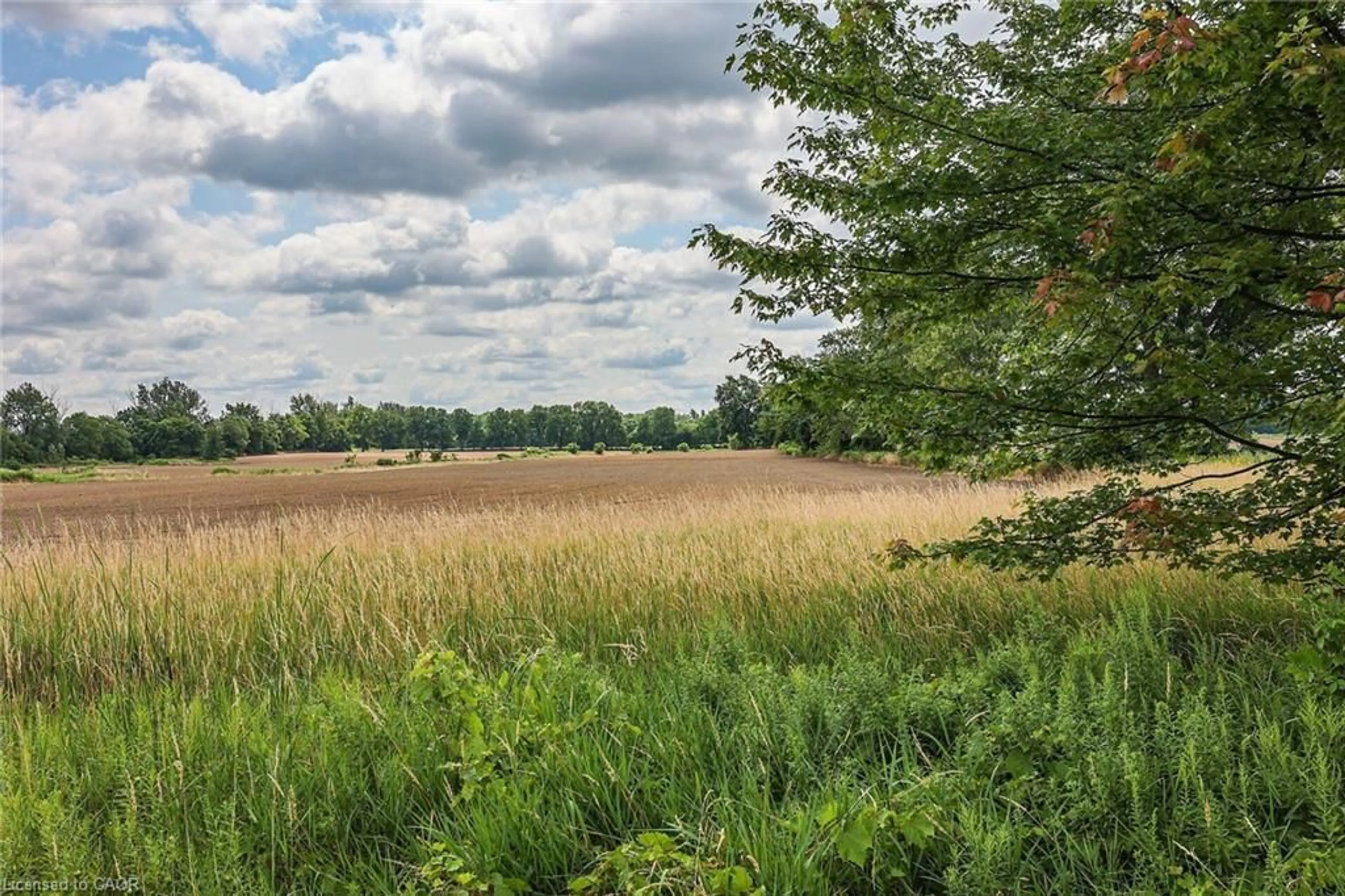 A pic from outside/outdoor area/front of a property/back of a property/a pic from drone, forest/trees view for PT LT 22 Concession 2 Rd, Flamborough Ontario L0R 1T0