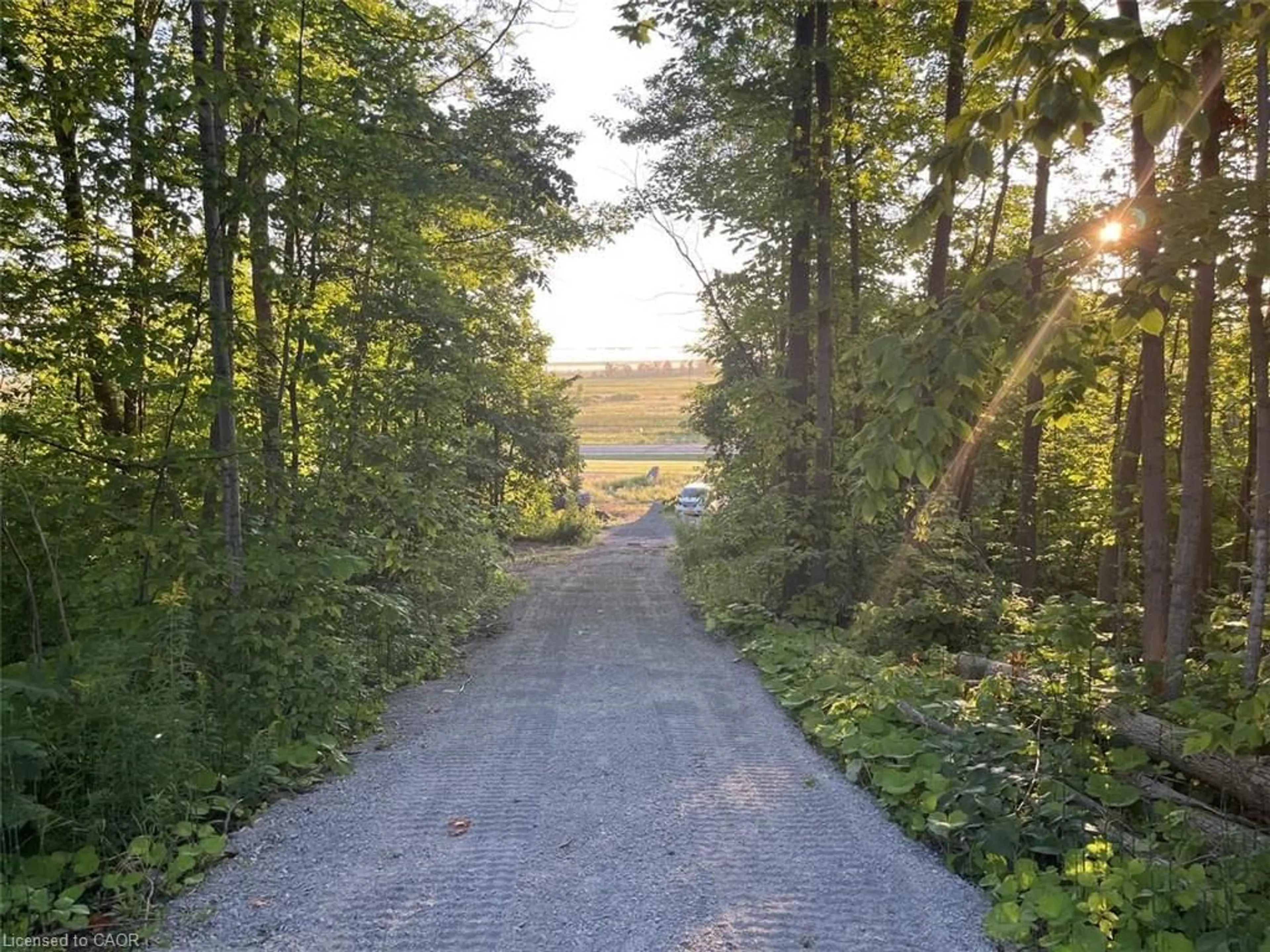 A pic from outside/outdoor area/front of a property/back of a property/a pic from drone, forest/trees view for 0 F R Nelson Rd, Severn Ontario L0K 2C0