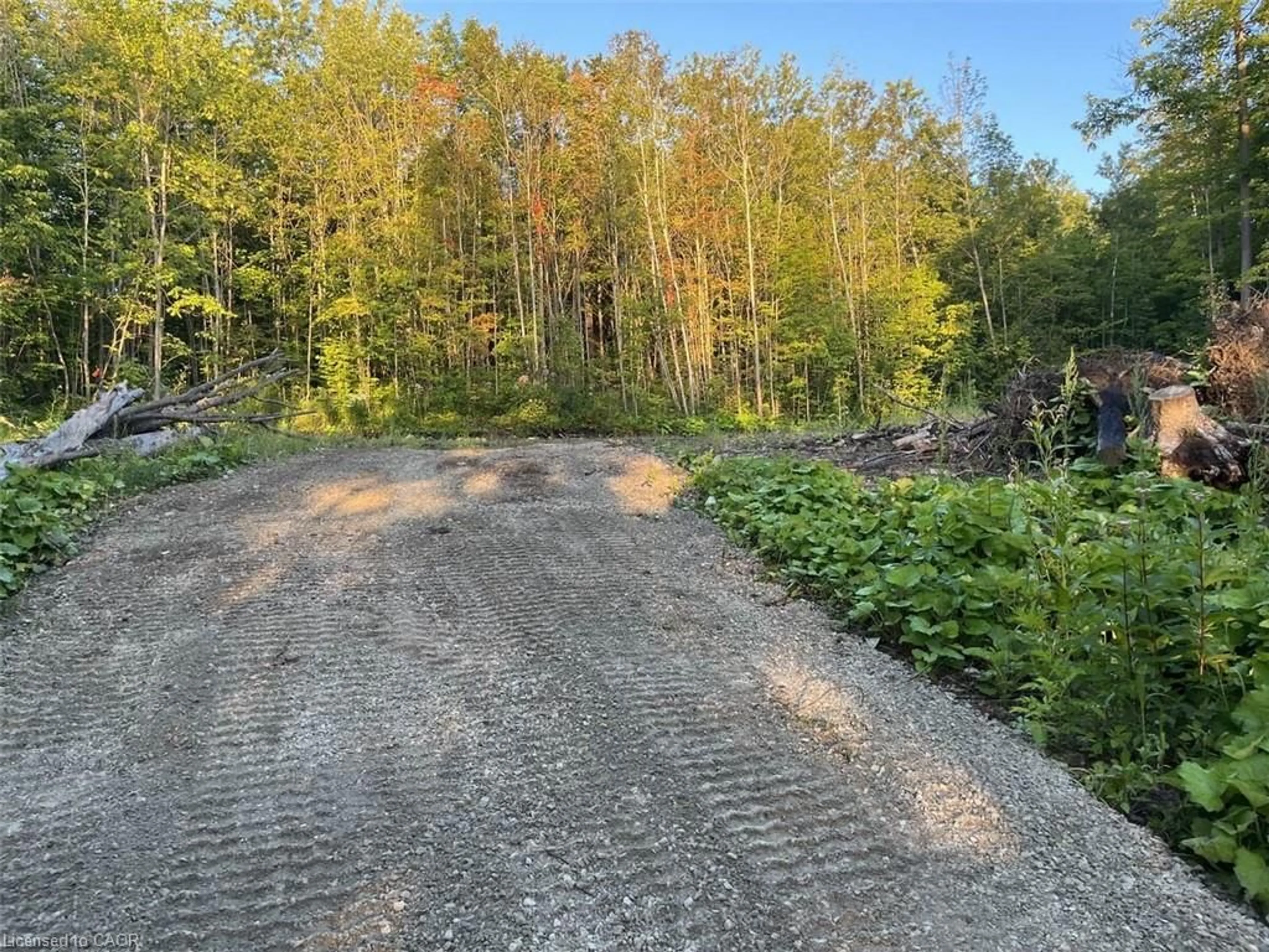 A pic from outside/outdoor area/front of a property/back of a property/a pic from drone, forest/trees view for 0 F R Nelson Rd, Severn Ontario L0K 2C0