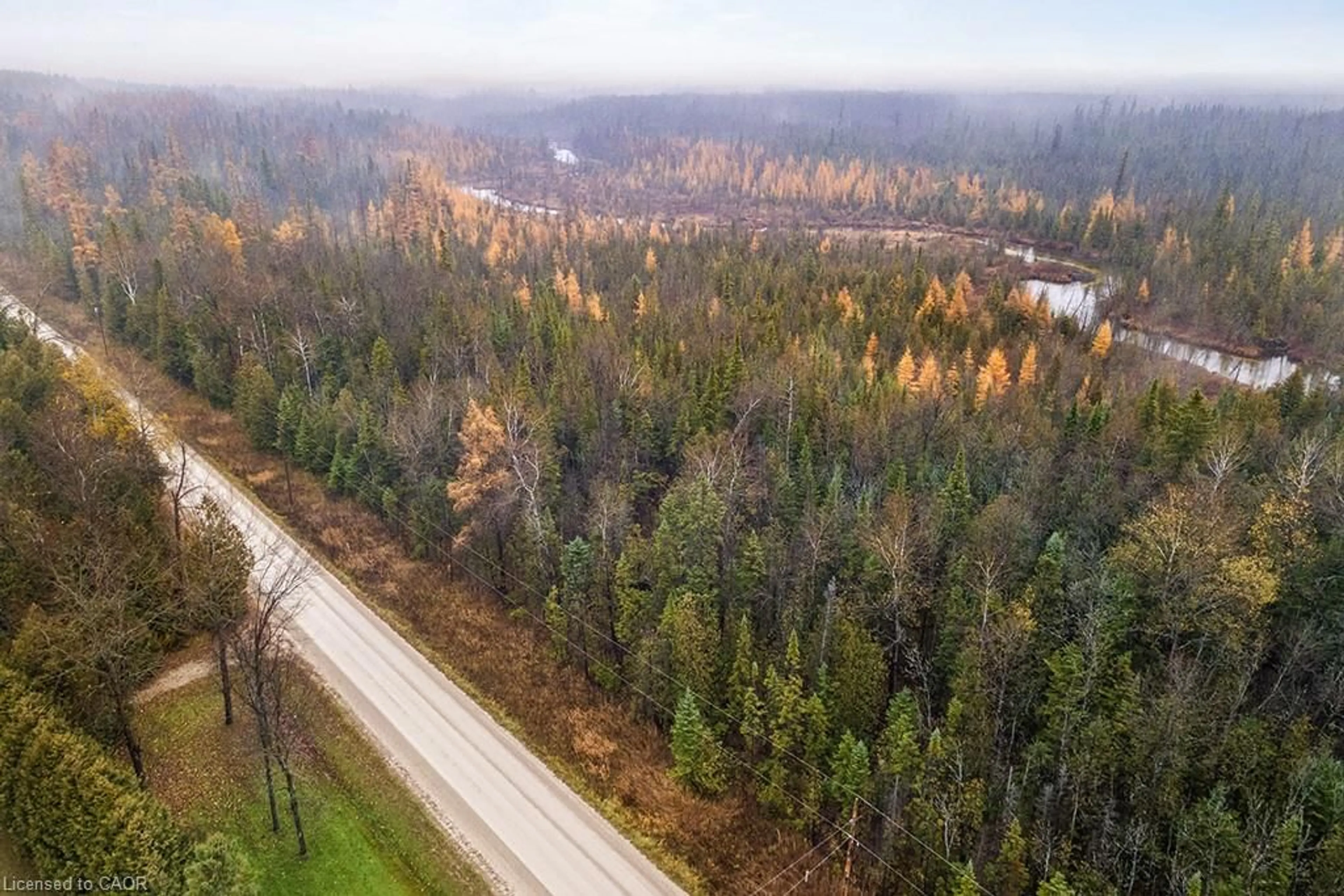 A pic from outside/outdoor area/front of a property/back of a property/a pic from drone, forest/trees view for PT LT 11 Concession 11, West Grey Ontario N0C 1H0