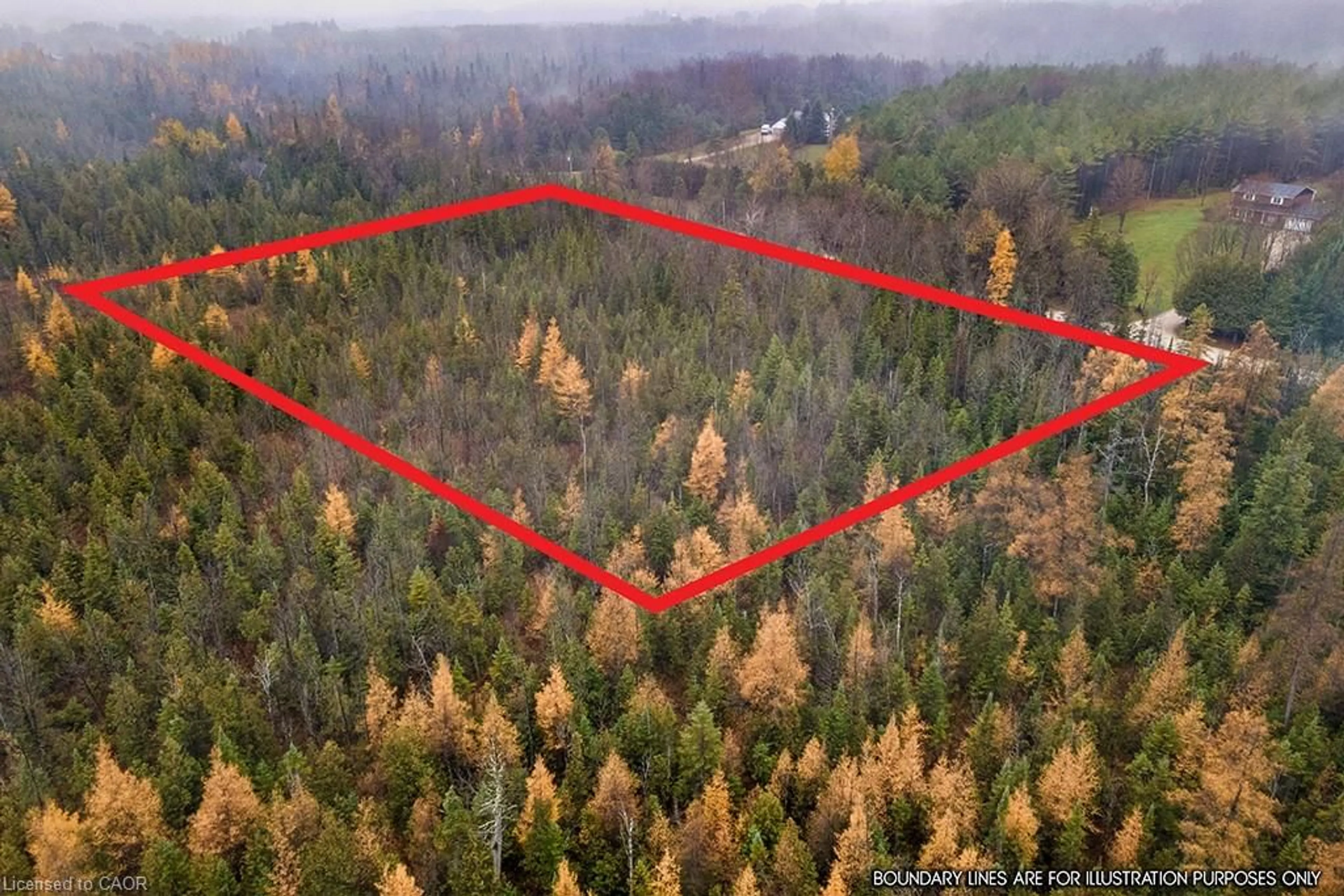 A pic from outside/outdoor area/front of a property/back of a property/a pic from drone, forest/trees view for PT LT 11 Concession 11, West Grey Ontario N0C 1H0