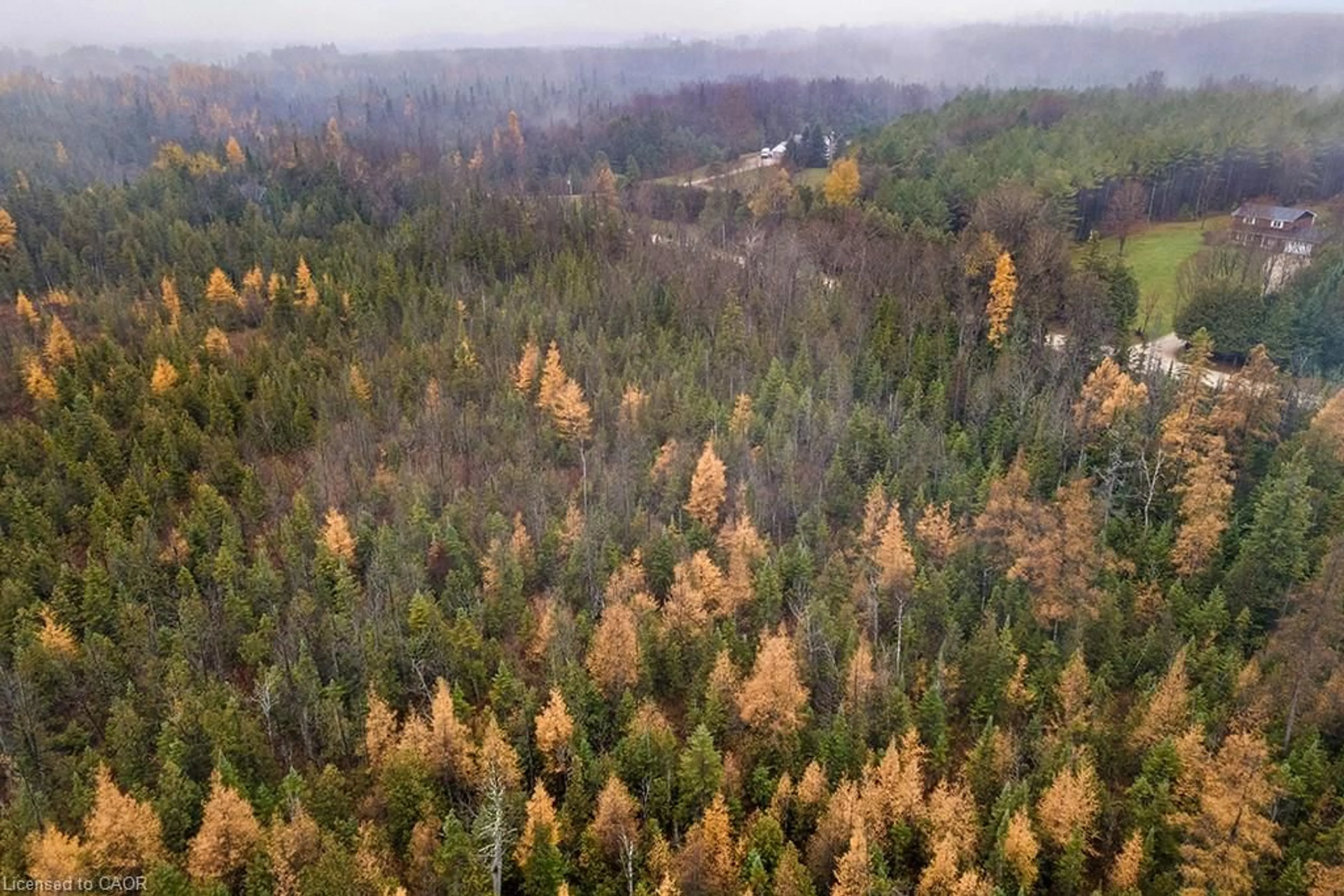 Unknown for PT LT 11 Concession 11, West Grey Ontario N0C 1H0