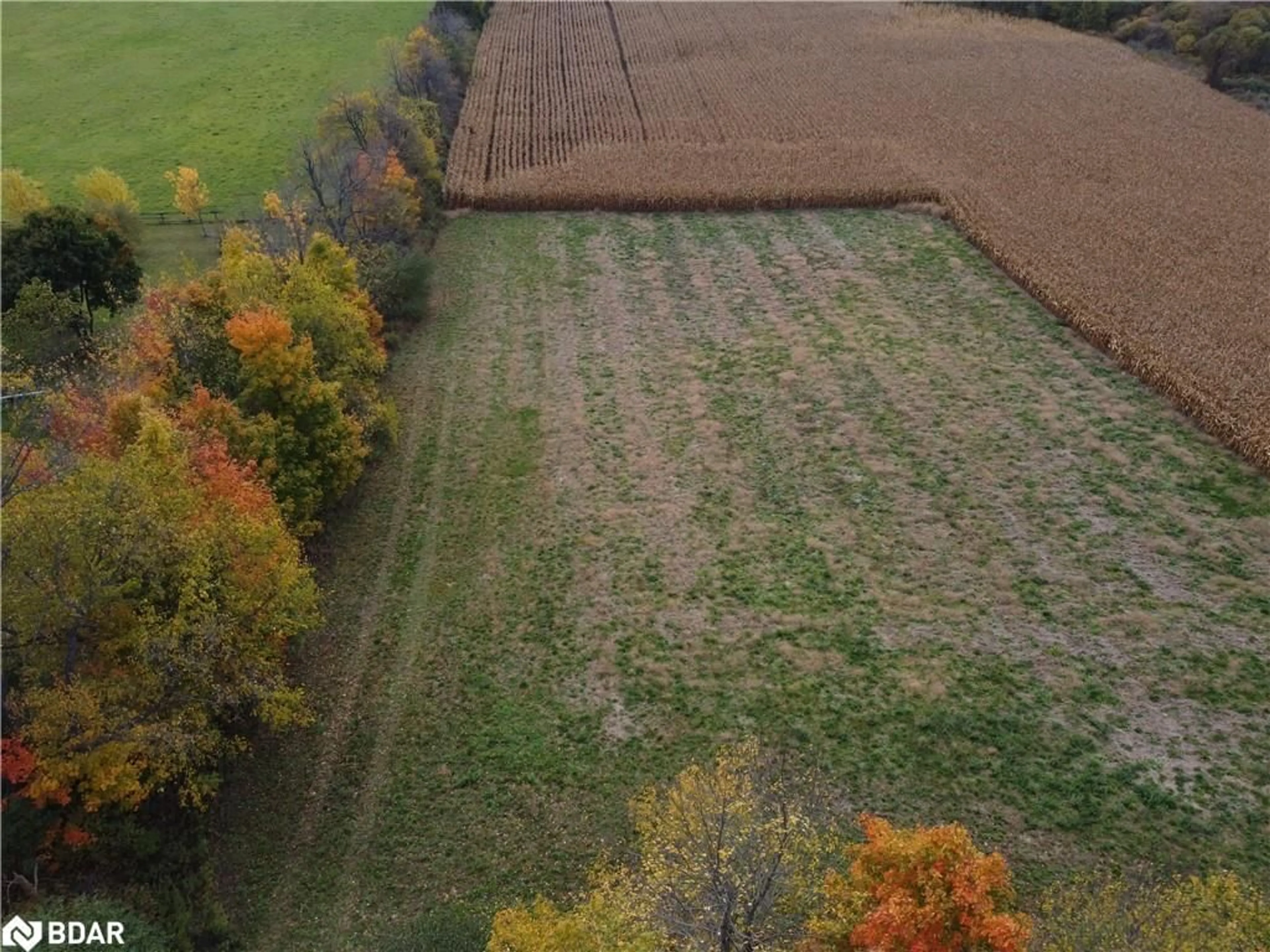 A pic from outside/outdoor area/front of a property/back of a property/a pic from drone, forest/trees view for 00 5258 Third Line, Wellington Ontario L7J 2L8